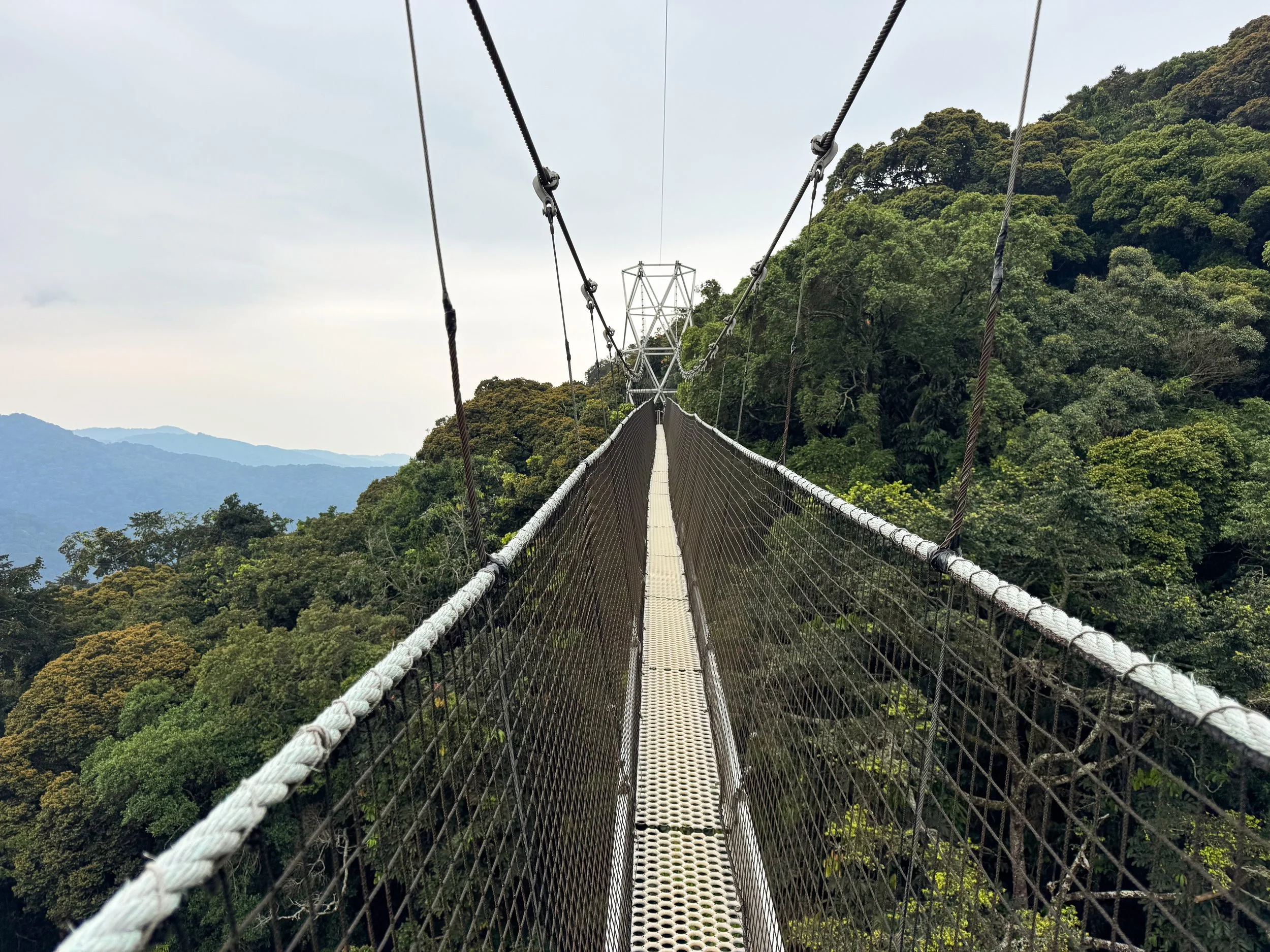 Nyungwe_Canopy_Walk_03.jpg