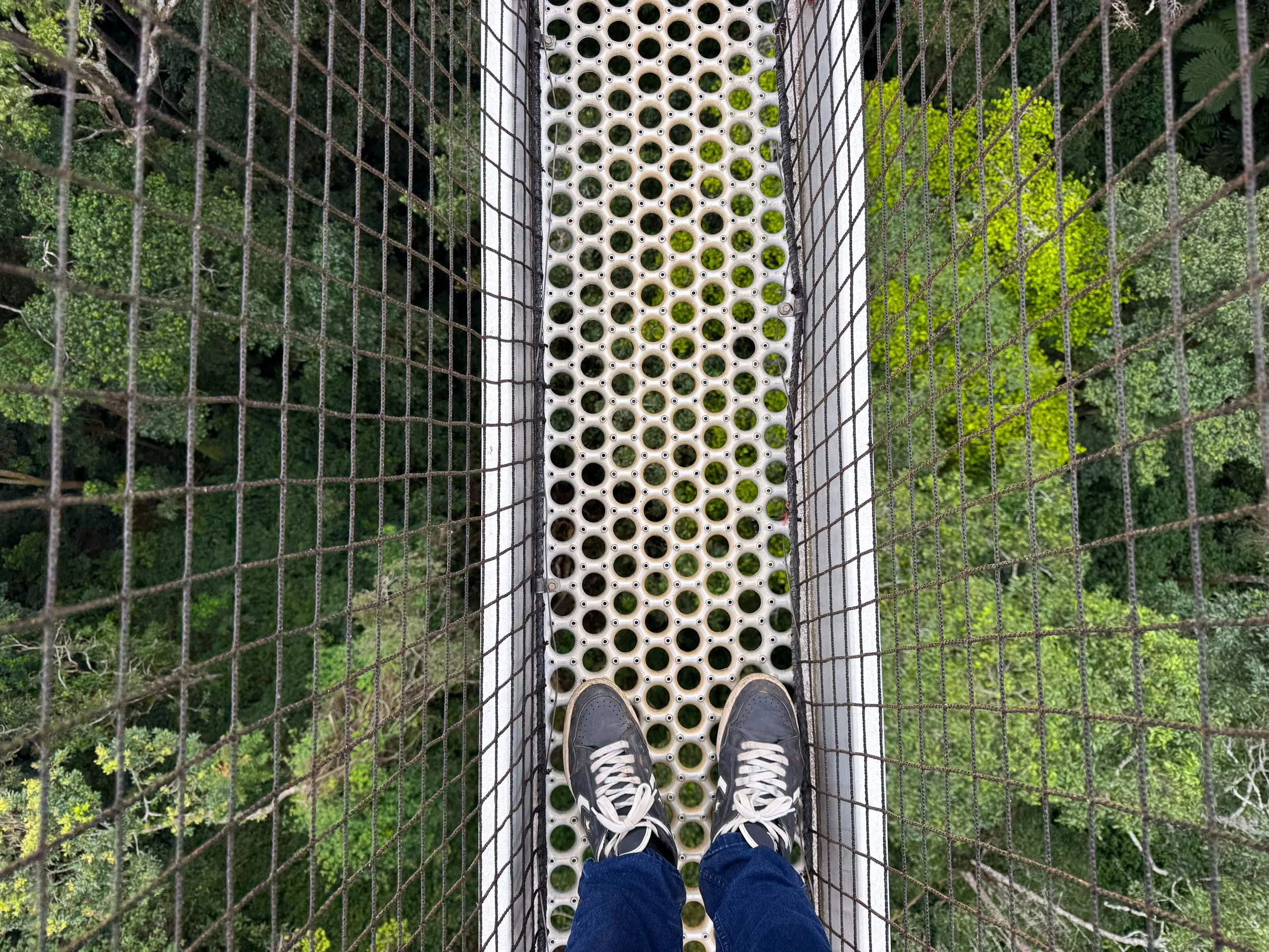 Nyungwe_Canopy_Walk_05.jpg