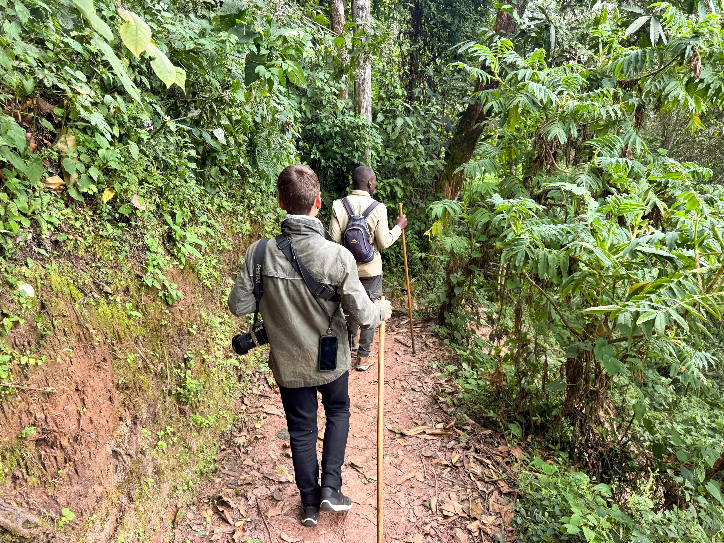 Nyungwe_Canopy_Walk_06.jpg