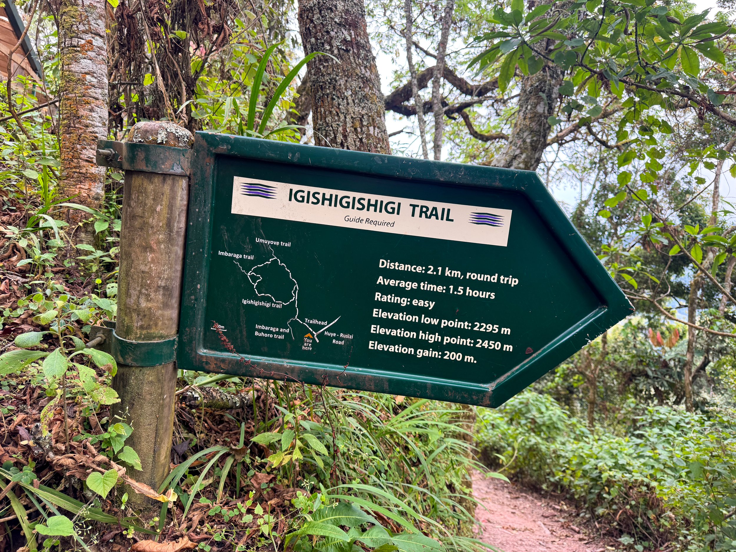 Nyungwe_Canopy_Walk_07.jpg