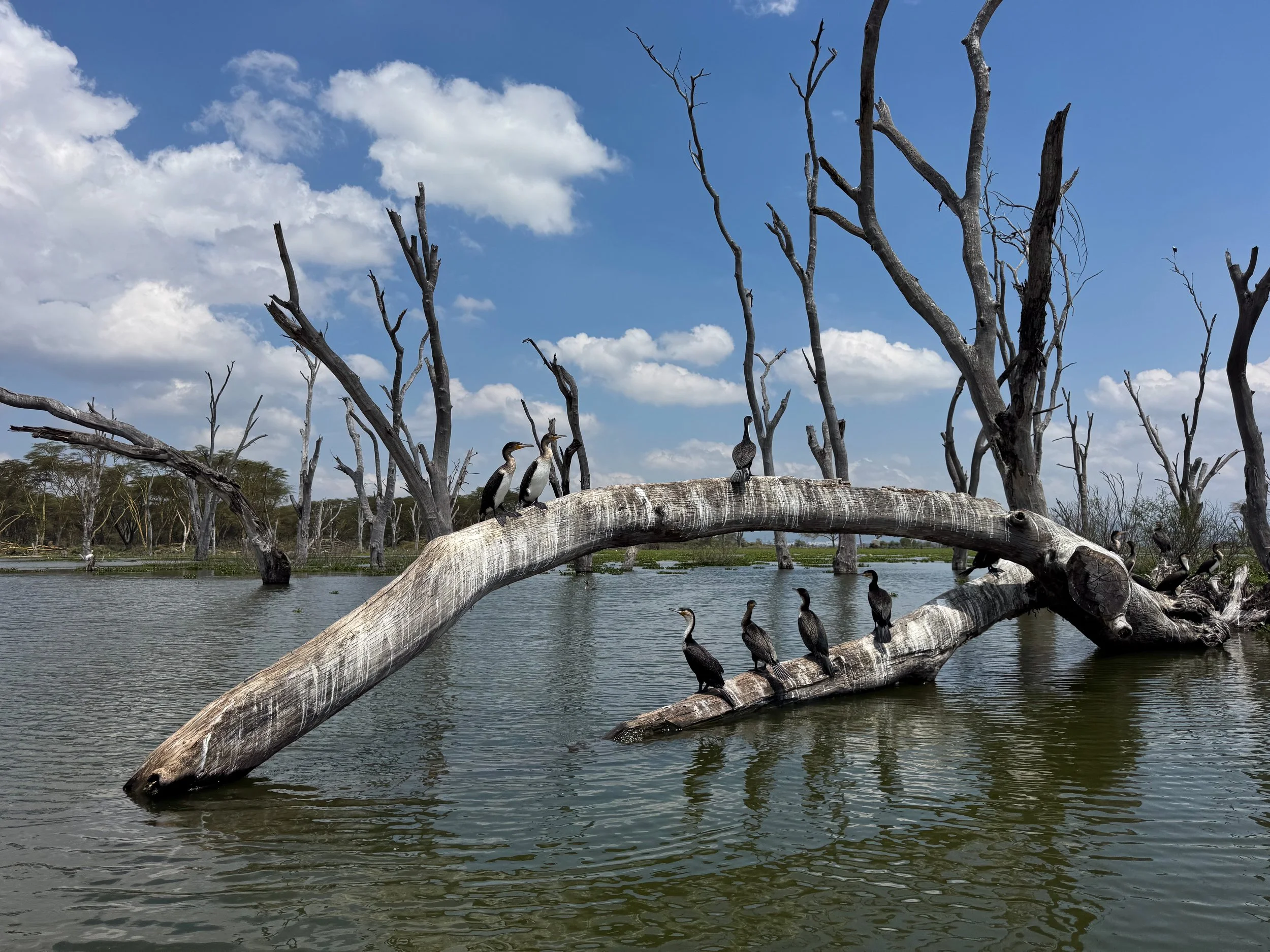 Lake_Naivasha_Boat_Safari_01.jpg