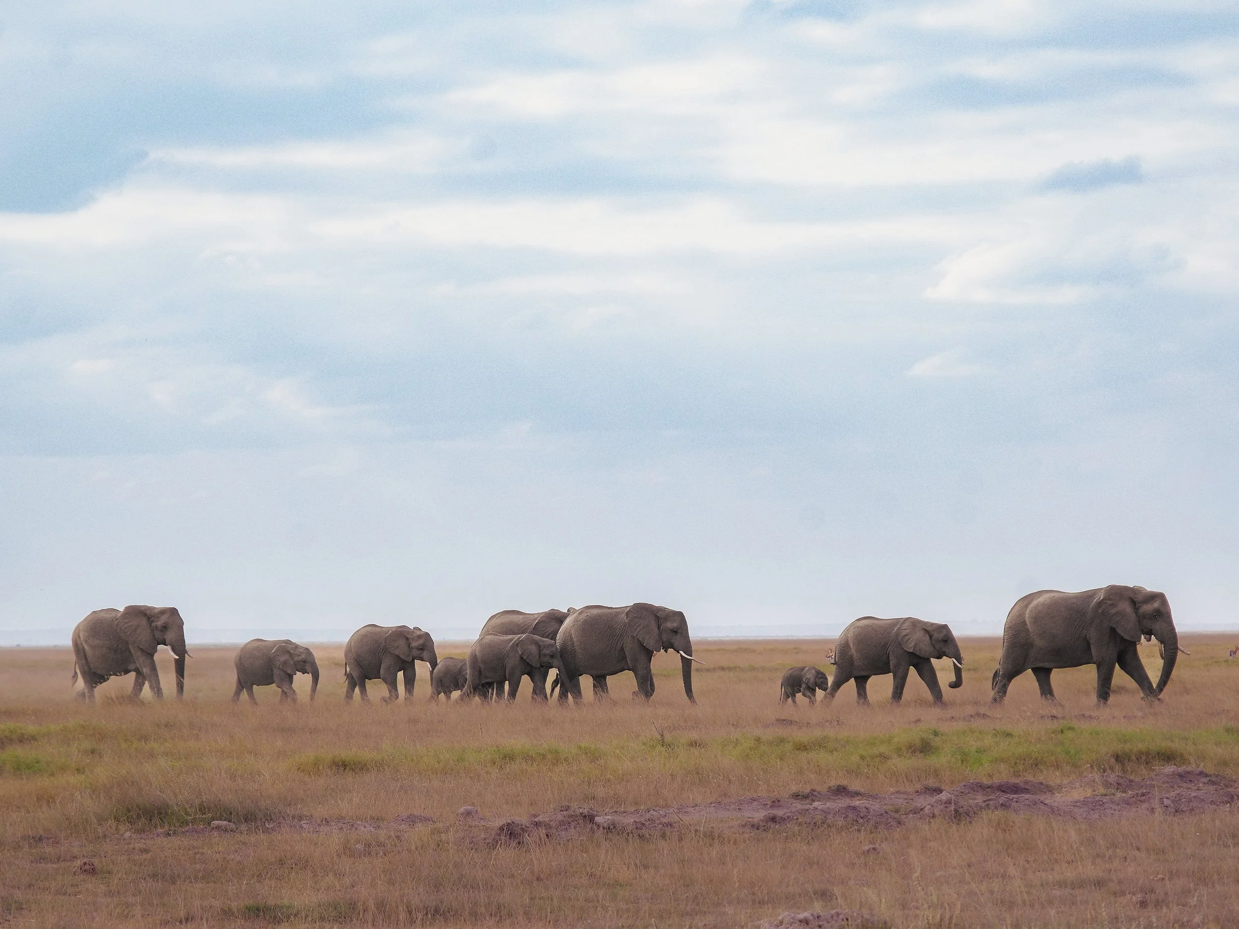 Amboseli_National_Park_02.jpg