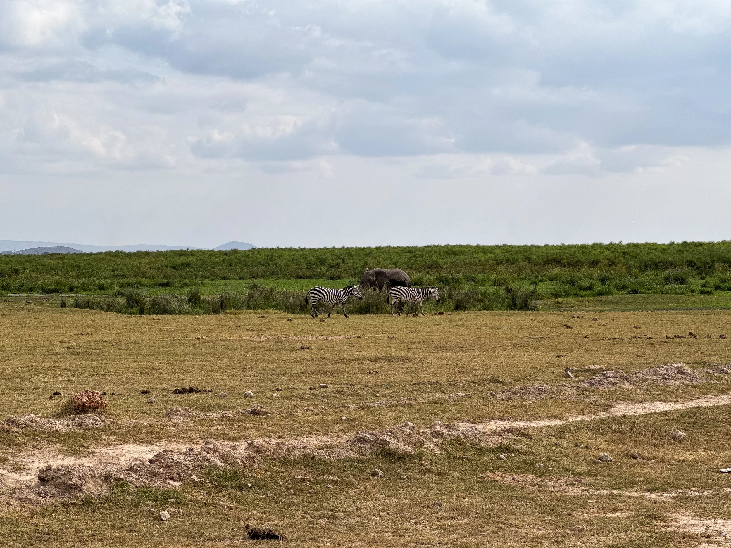 Amboseli_National_Park_03.jpg