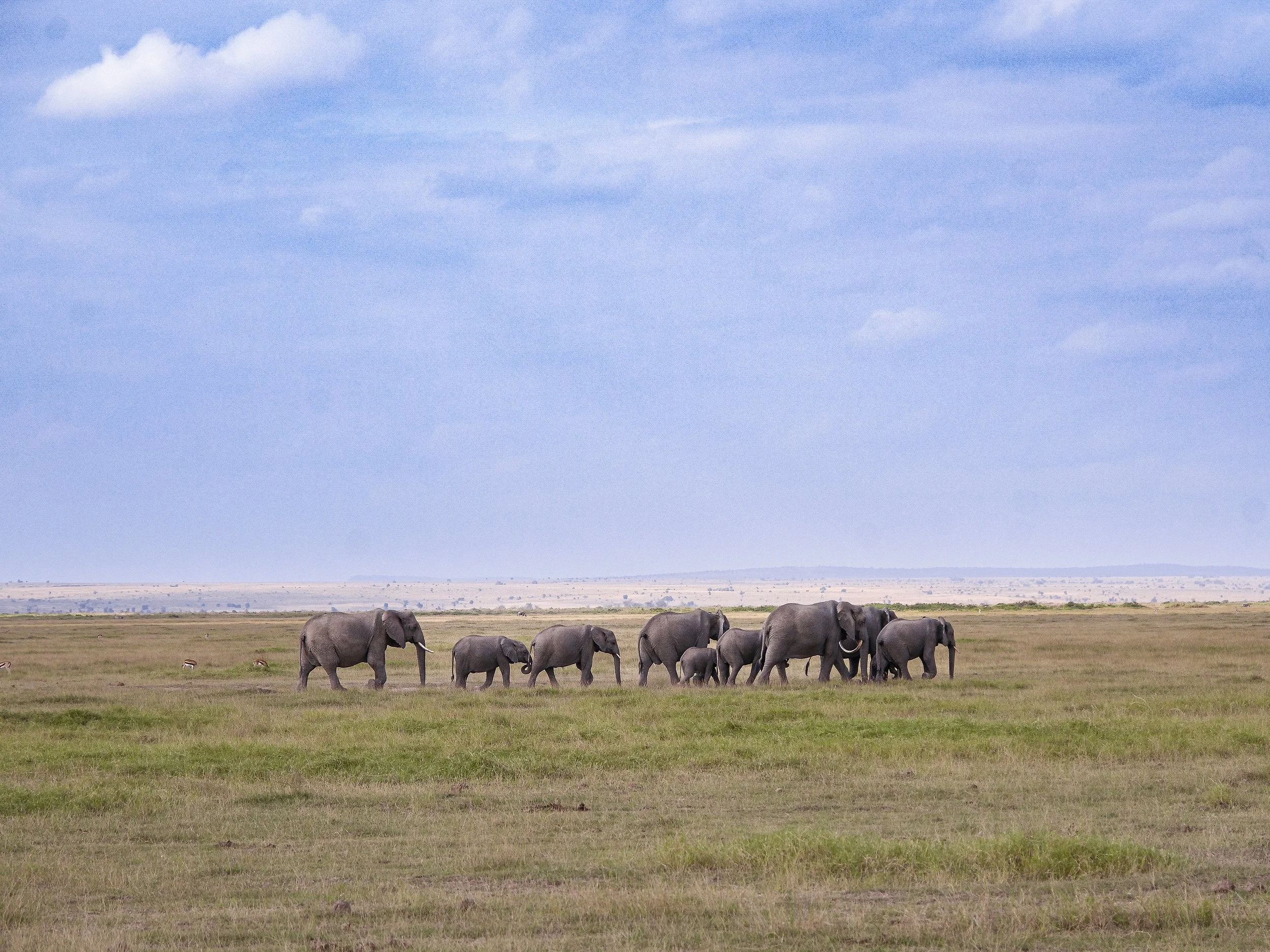 Amboseli_National_Park_04.jpg