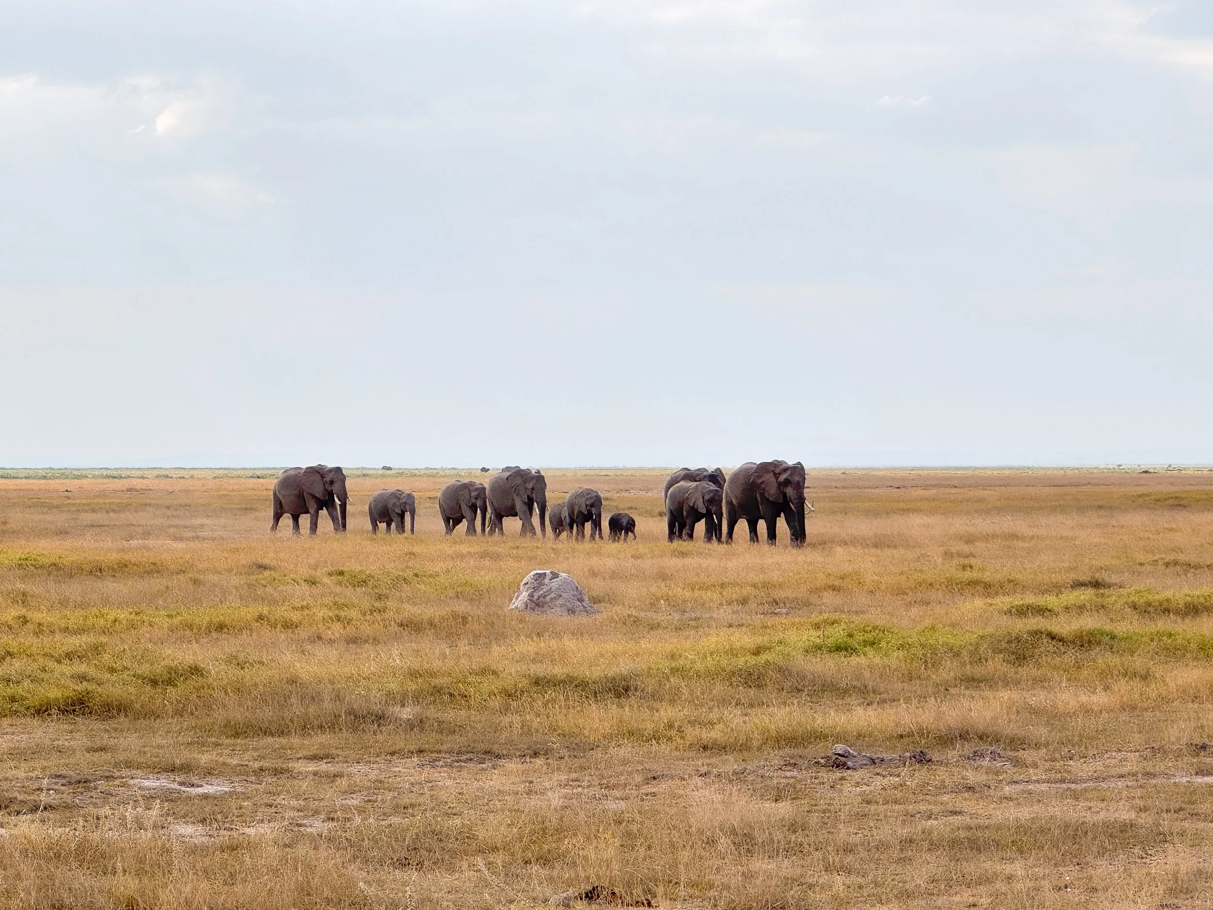 Amboseli_National_Park_06.jpg