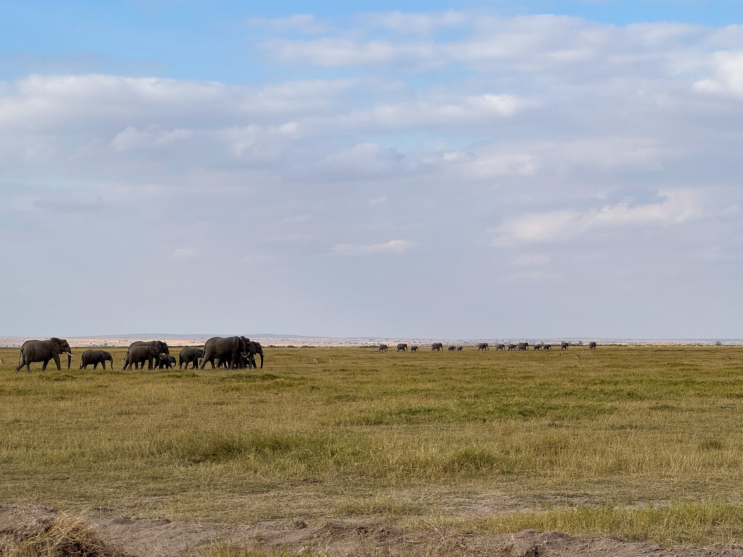 Amboseli_National_Park_07.jpg