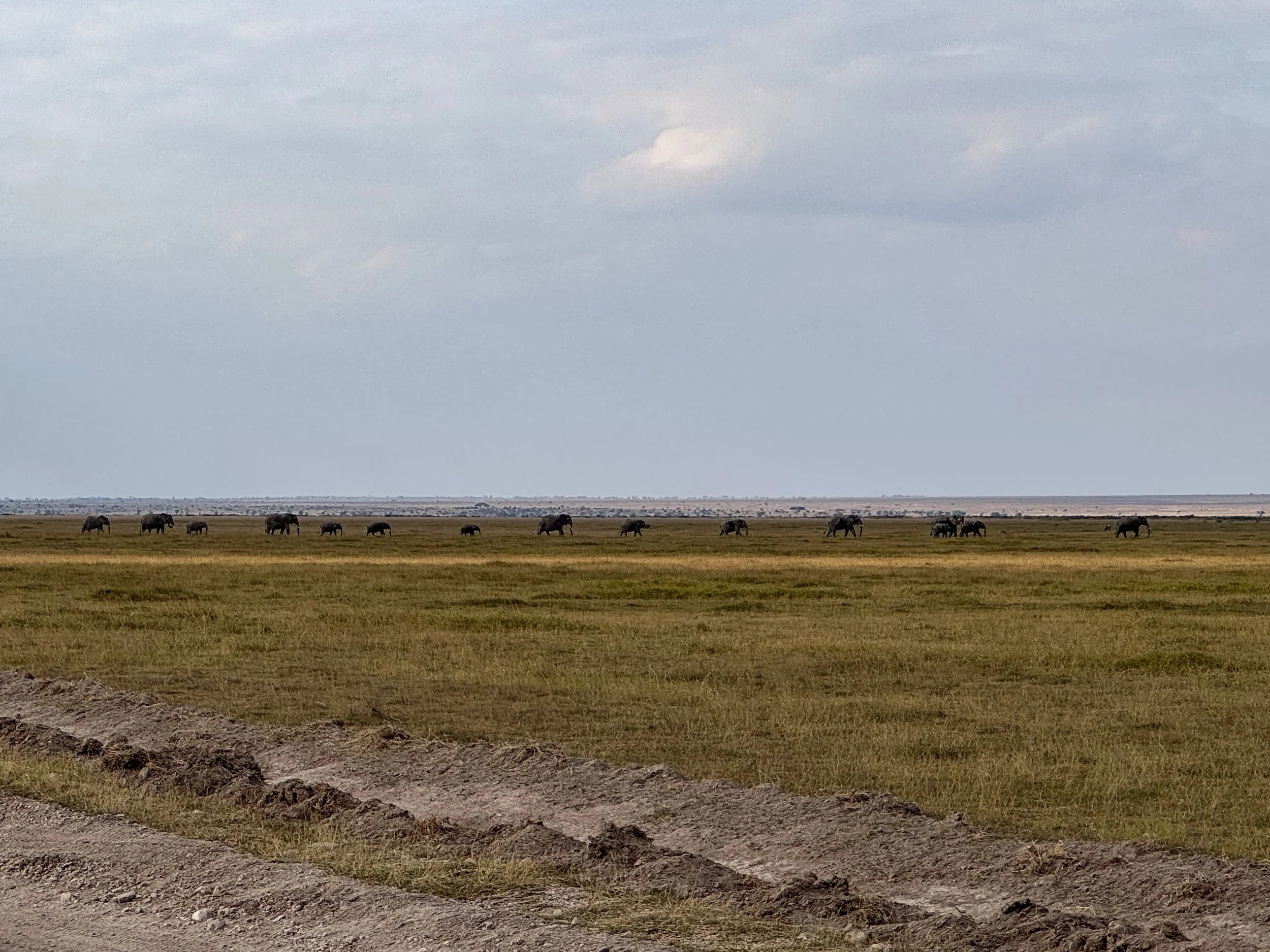 Amboseli_National_Park_08.jpg