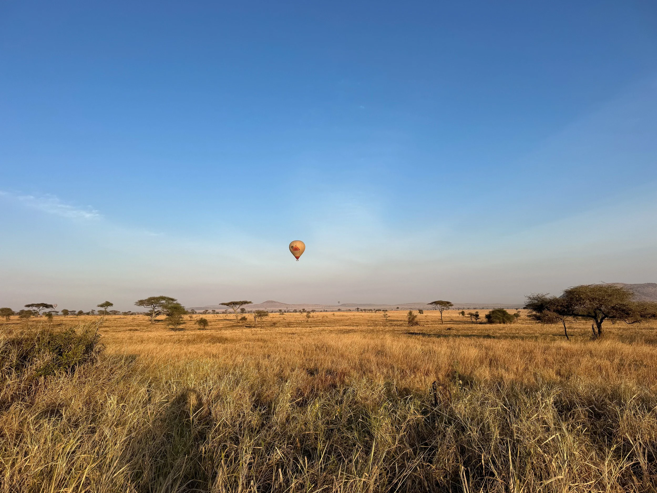 Serengeti_National_Park_07.jpg
