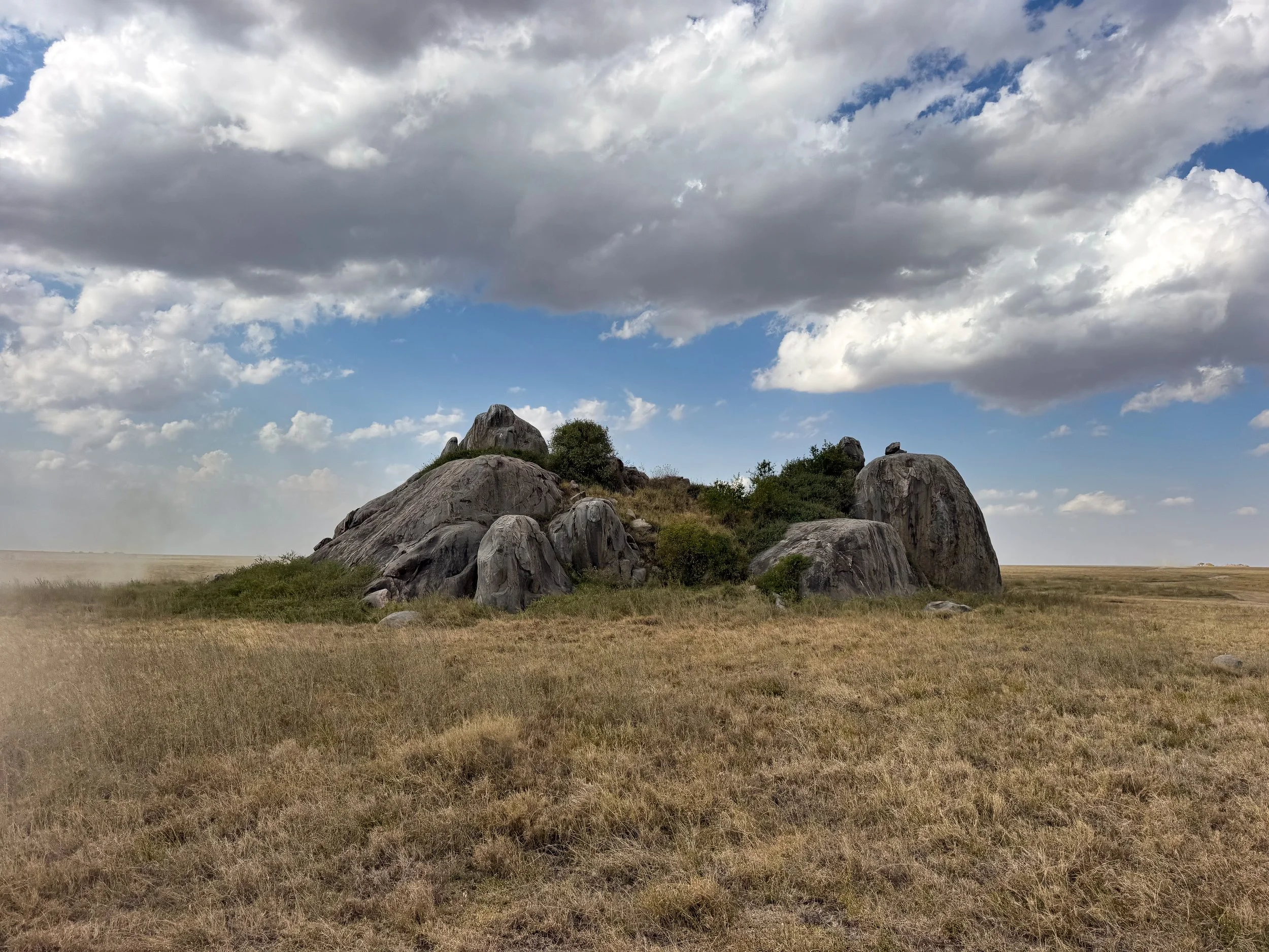 Serengeti_National_Park_11.jpg