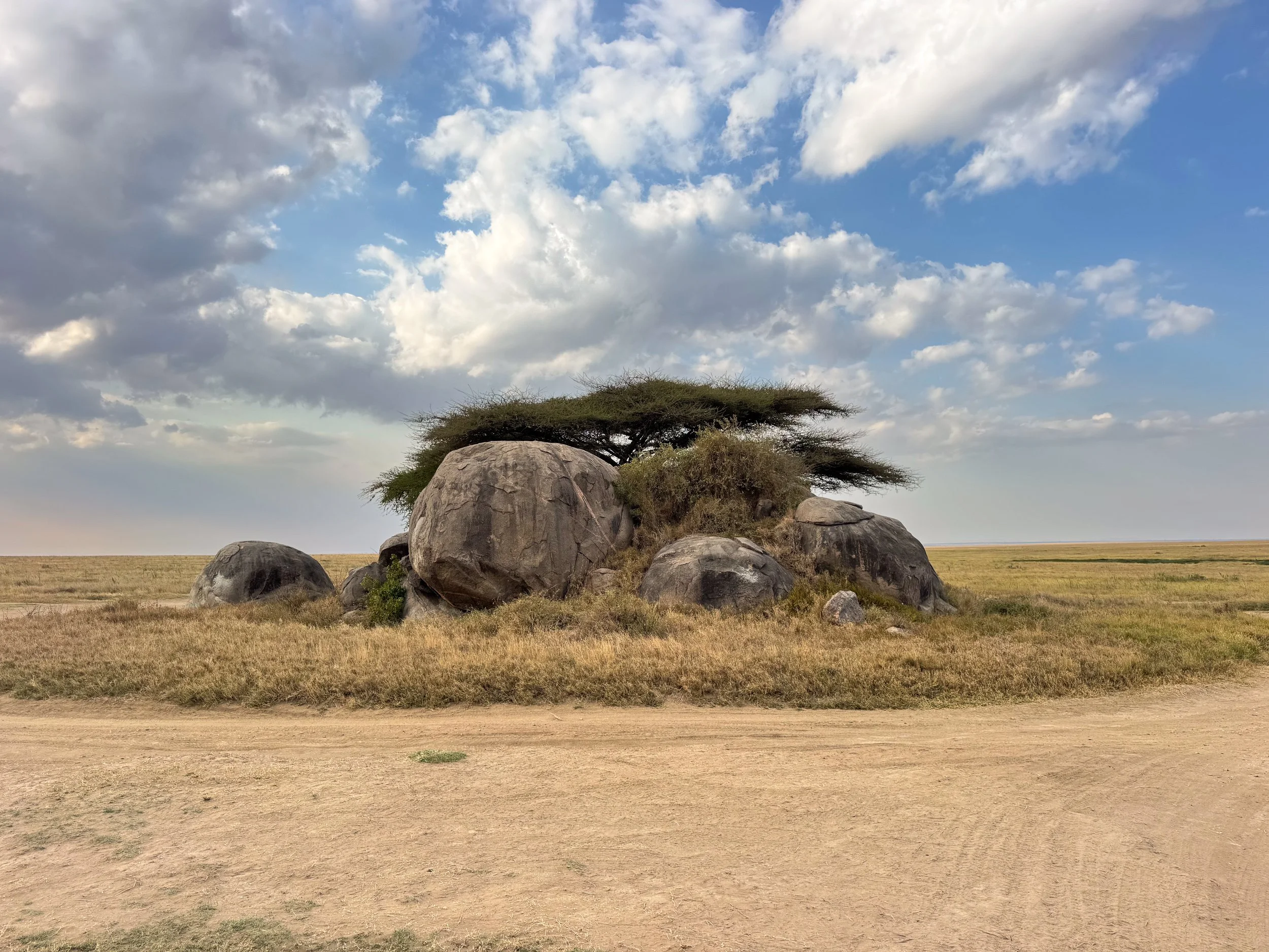 Serengeti_National_Park_13.jpg