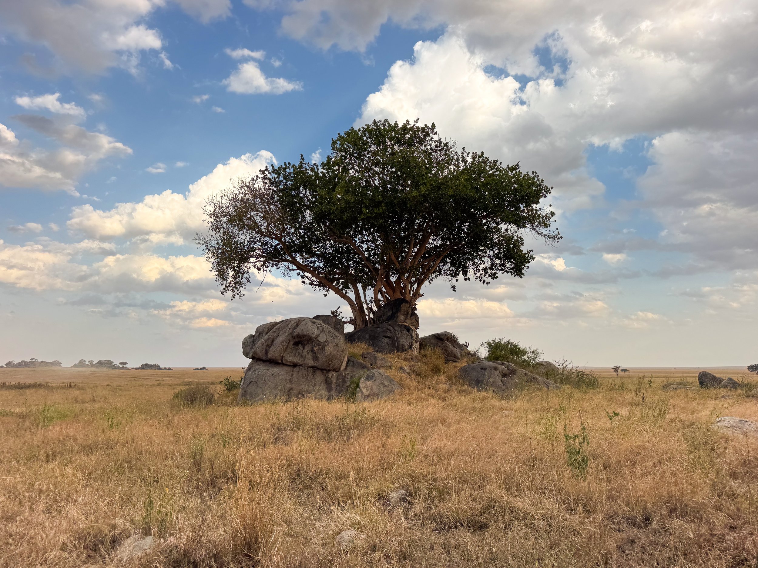 Serengeti_National_Park_14.jpg