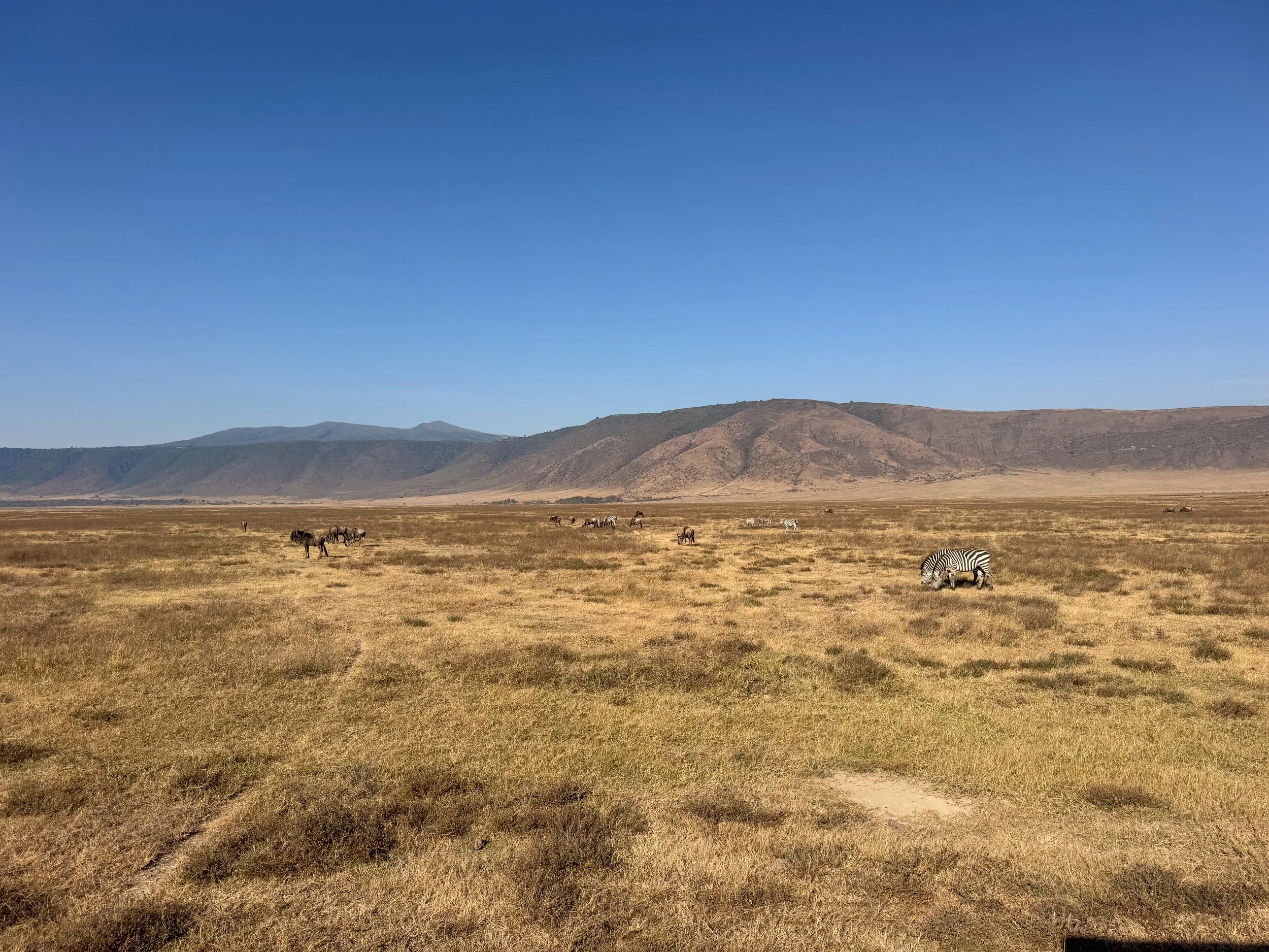 The_Ngorongoro_Crater_05.jpg
