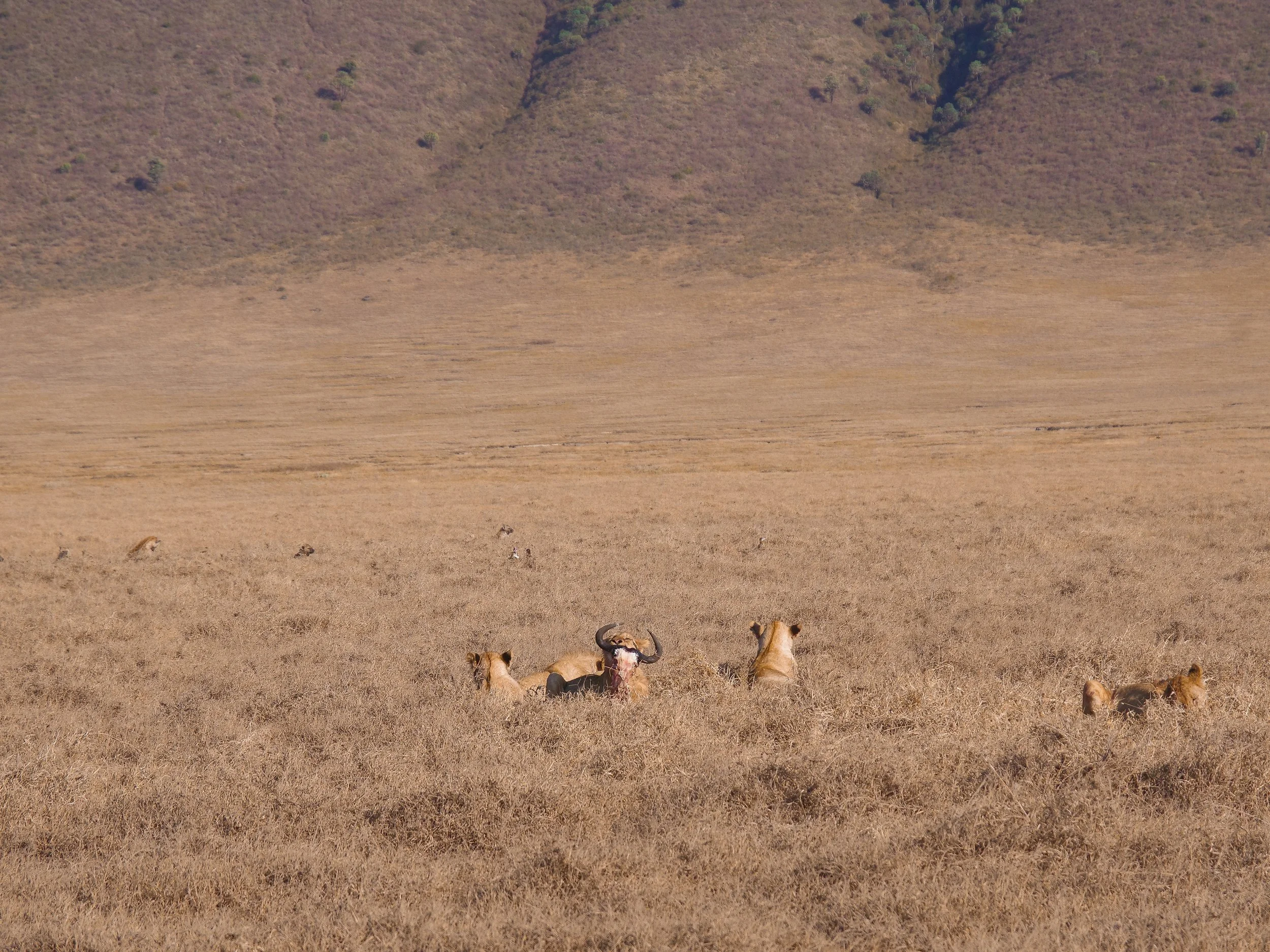 The_Ngorongoro_Crater_13.jpg