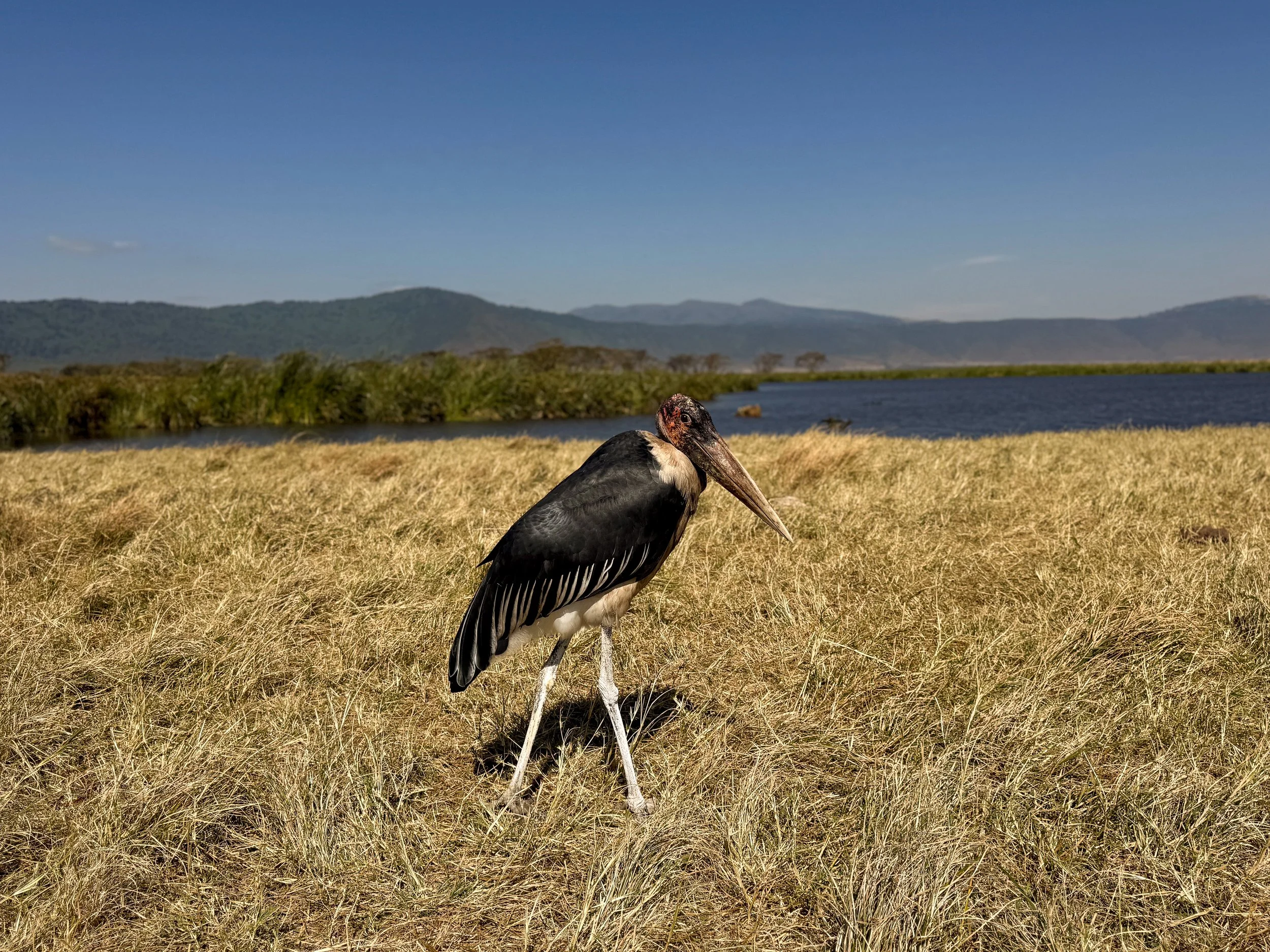 The_Ngorongoro_Crater_18.jpg