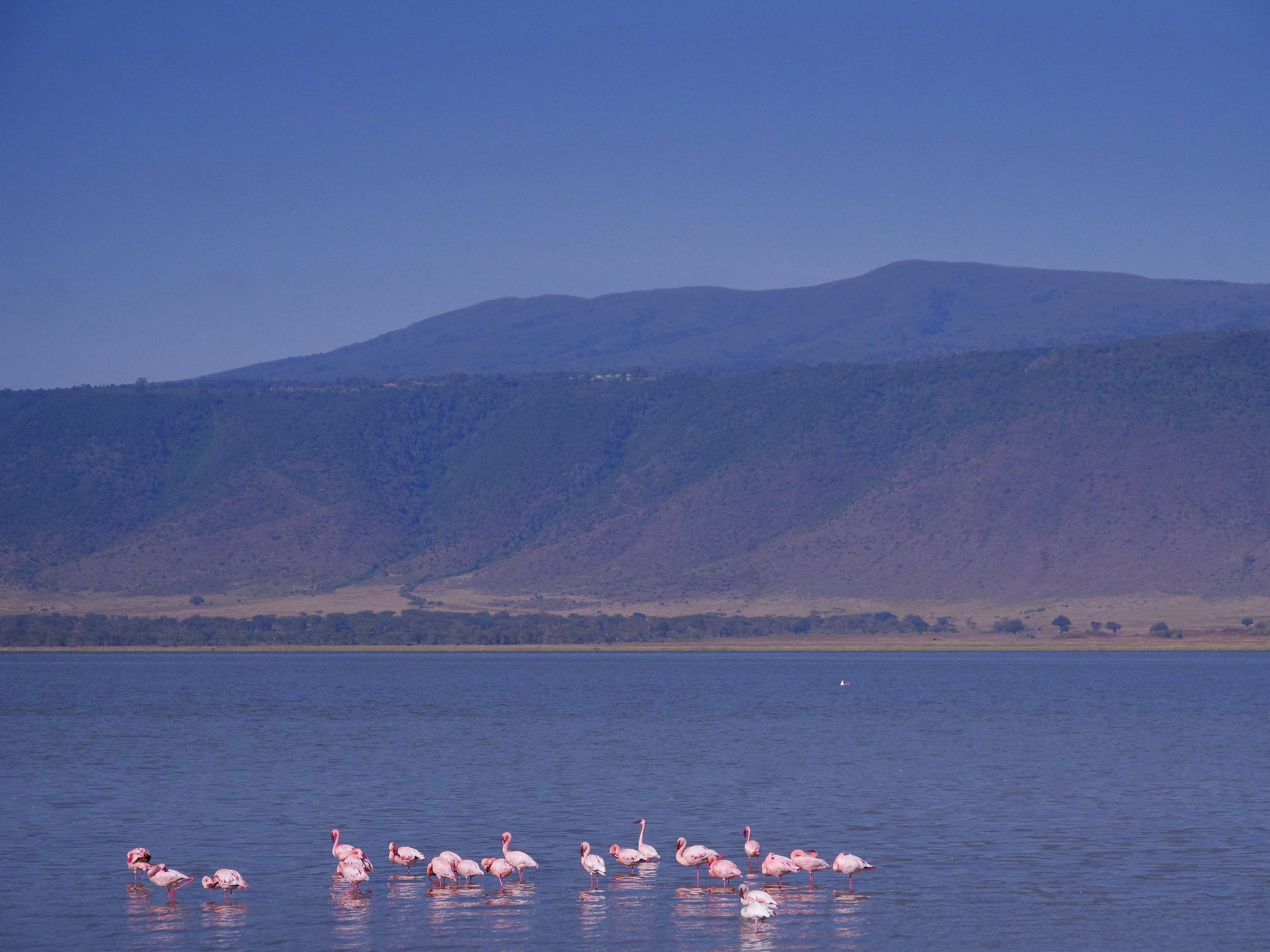 The_Ngorongoro_Crater_21.jpg