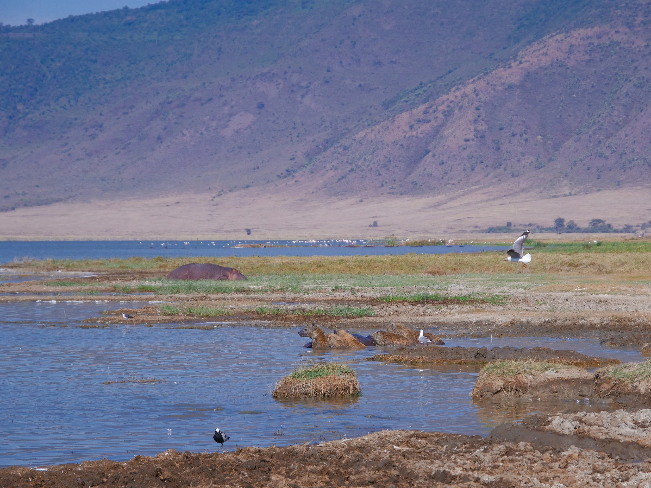 The_Ngorongoro_Crater_22.jpg