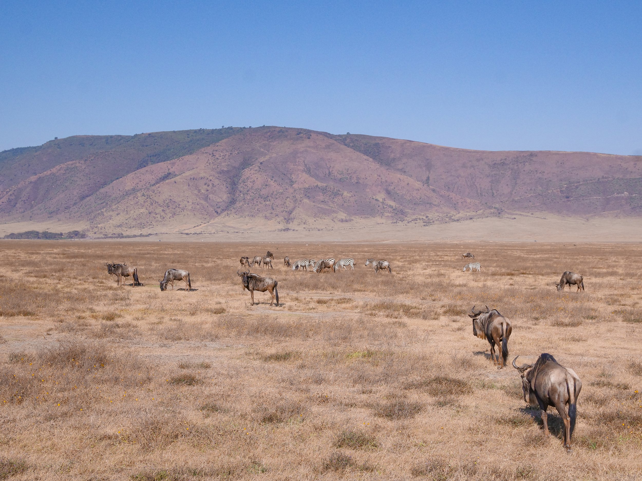 The_Ngorongoro_Crater_23.jpg