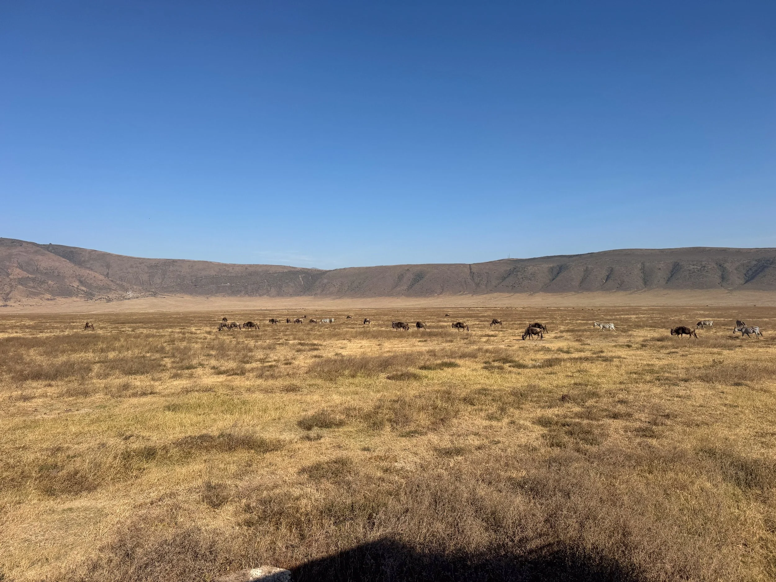 The_Ngorongoro_Crater_27.jpg
