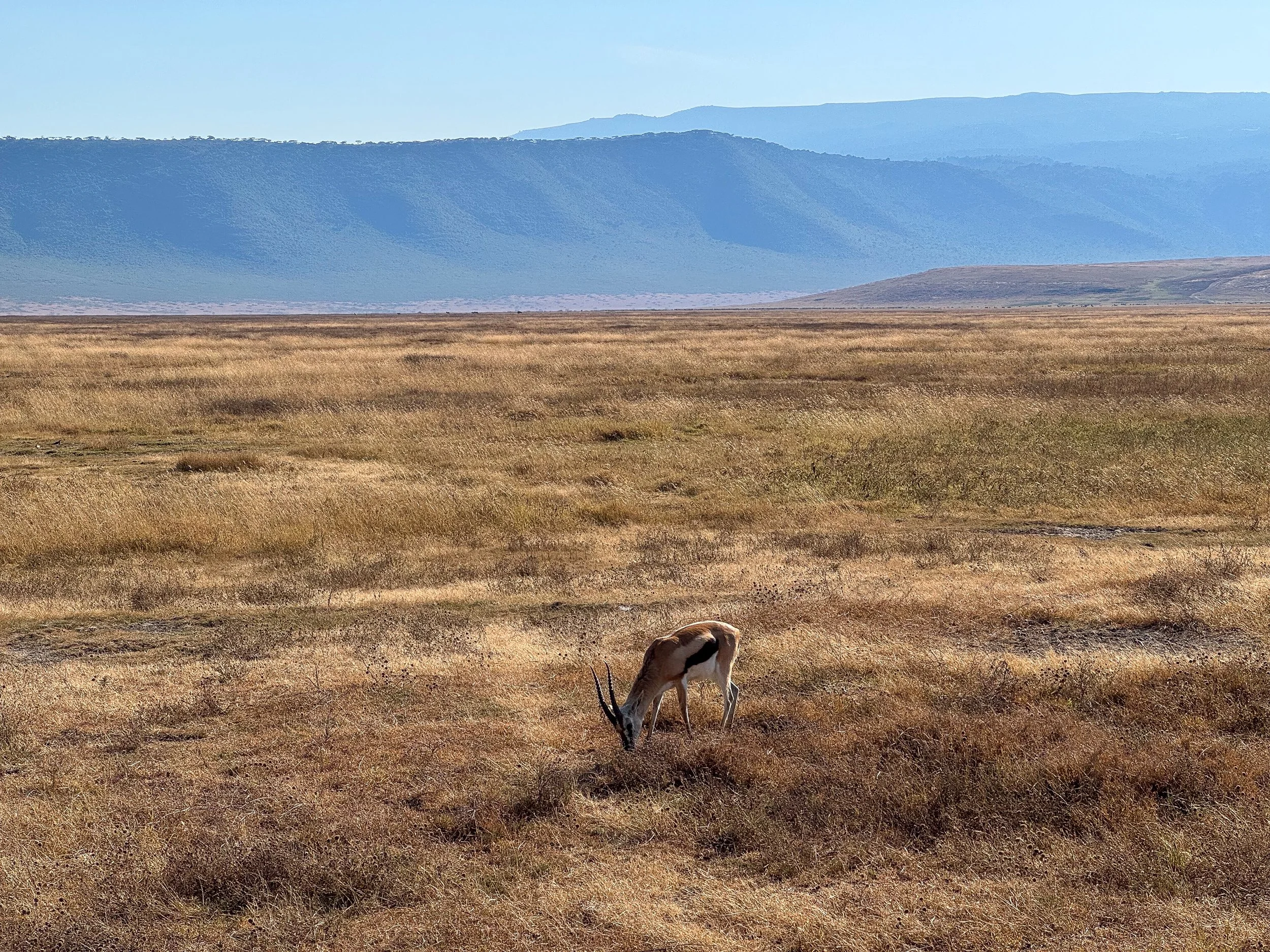 The_Ngorongoro_Crater_28.jpg