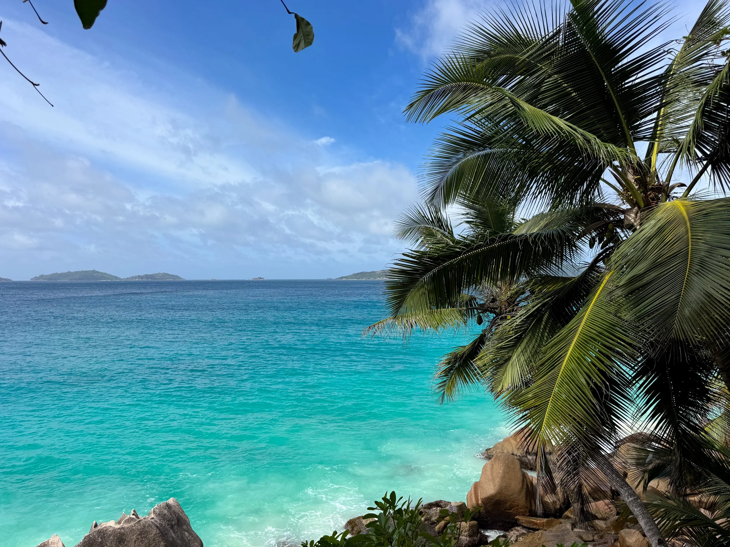Anse_Patates_05.jpg