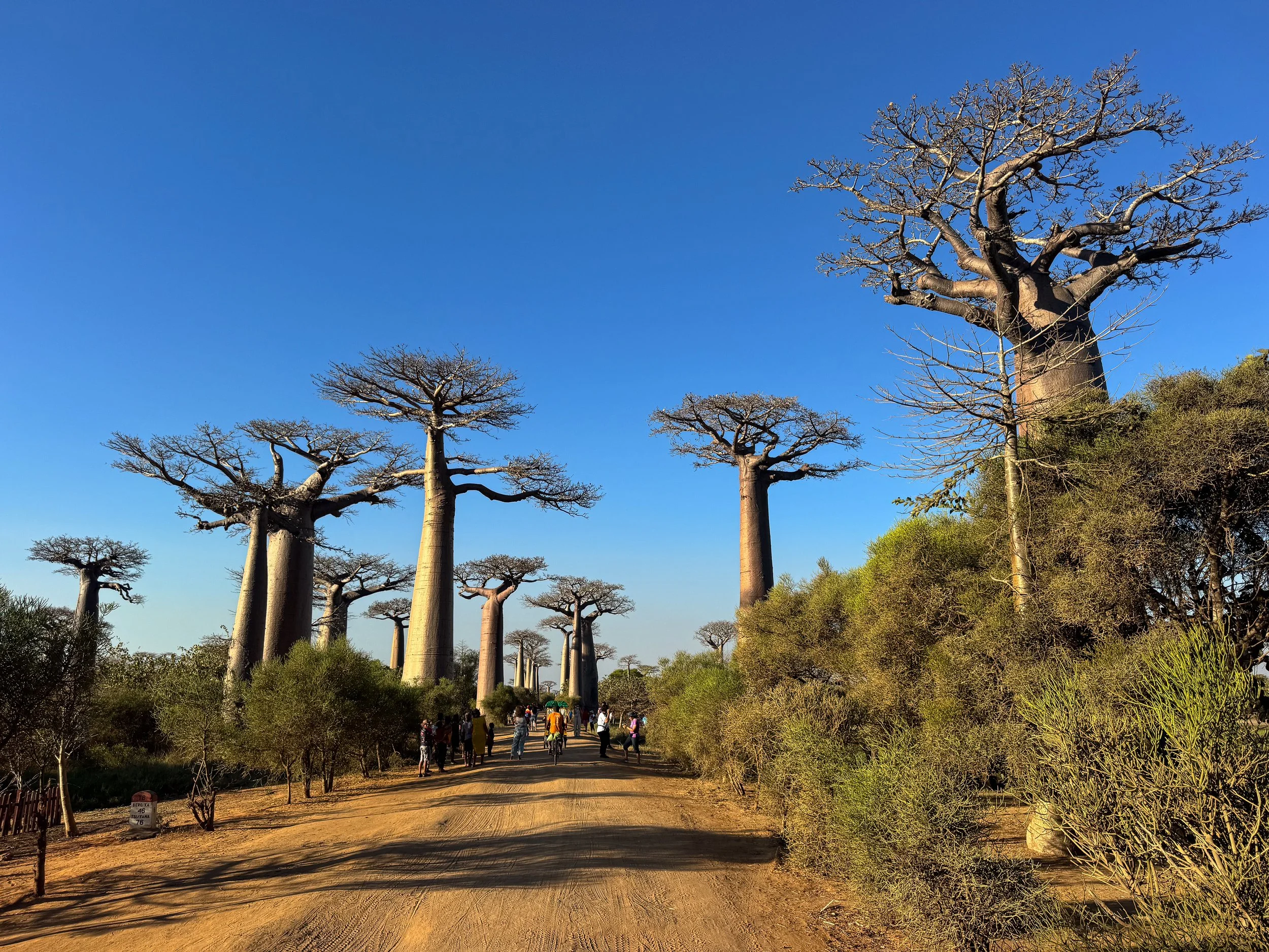 10 Days in Madagascar