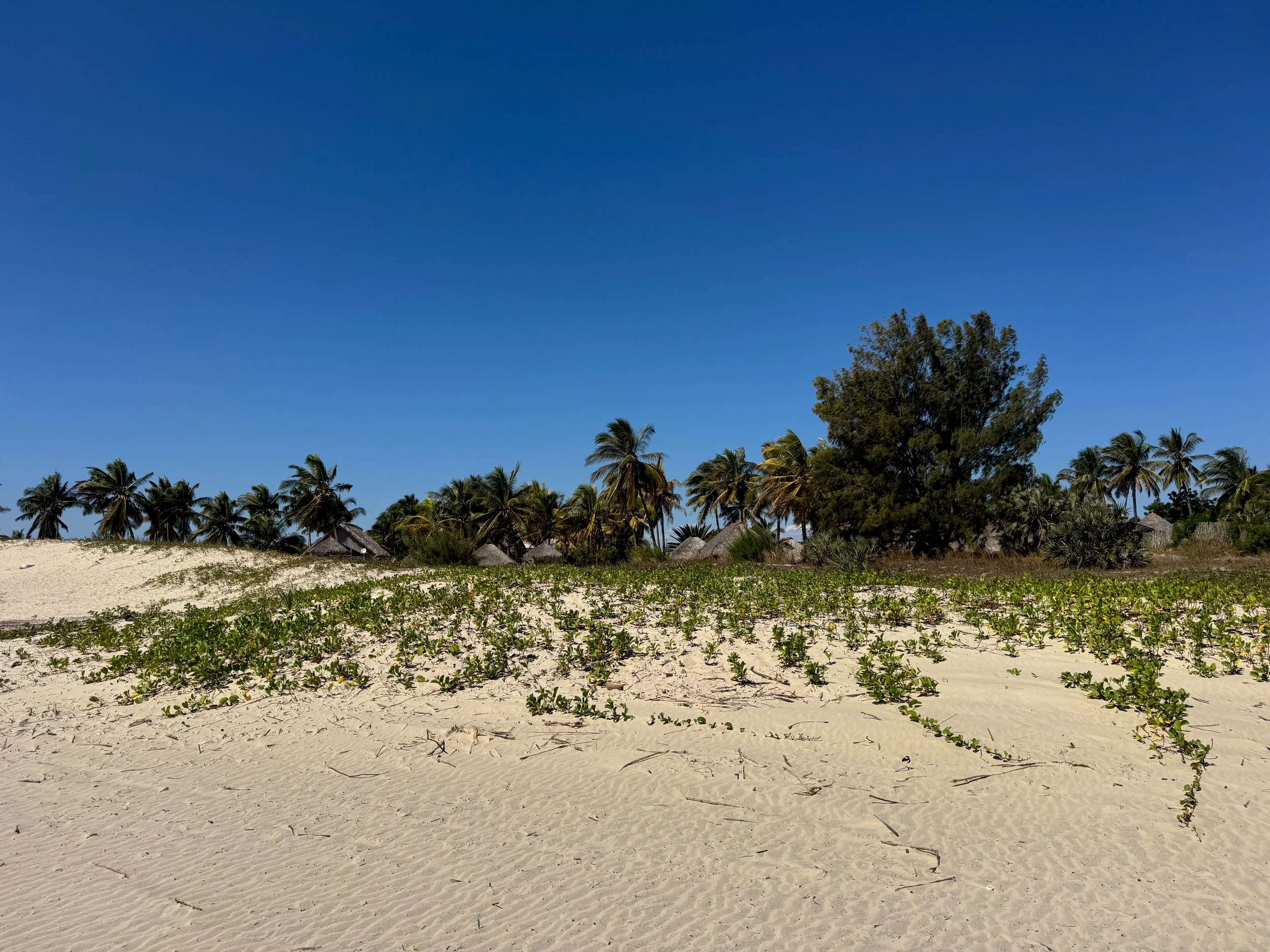 Morondava_Beach_04.jpg