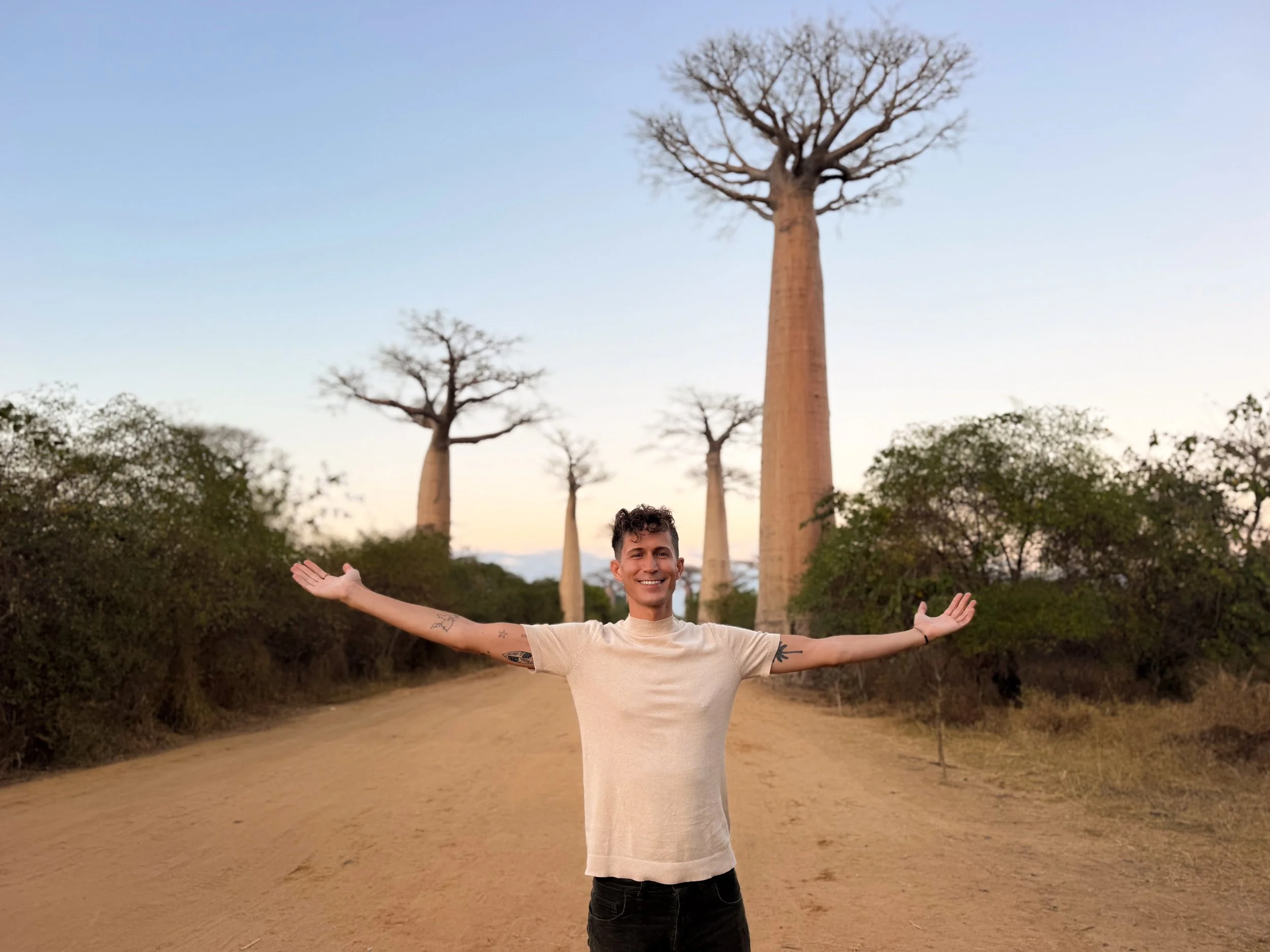 Avenue_of_the_Baobabs_11.jpg