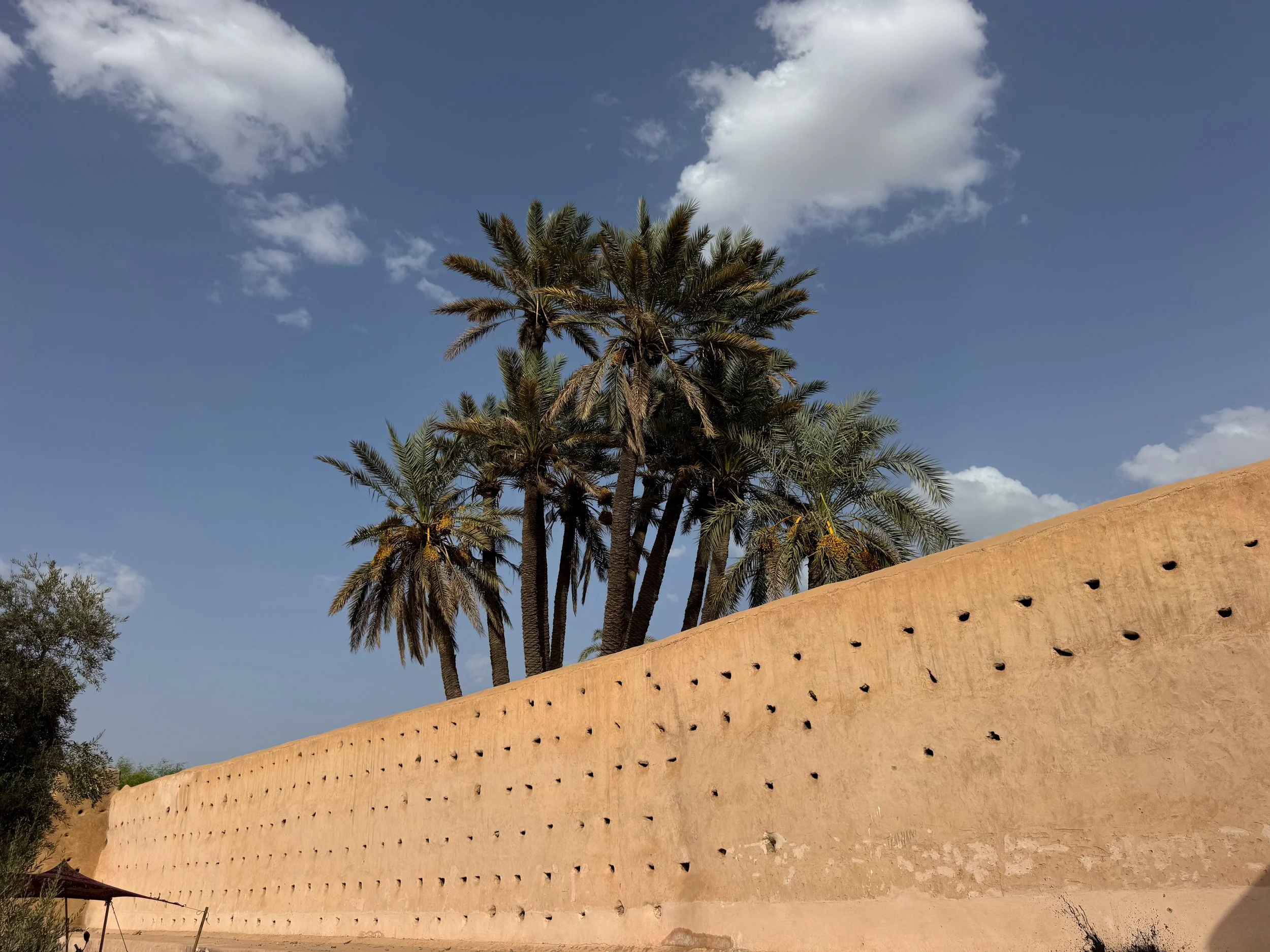 Walls_of_Marrakech_02.jpg