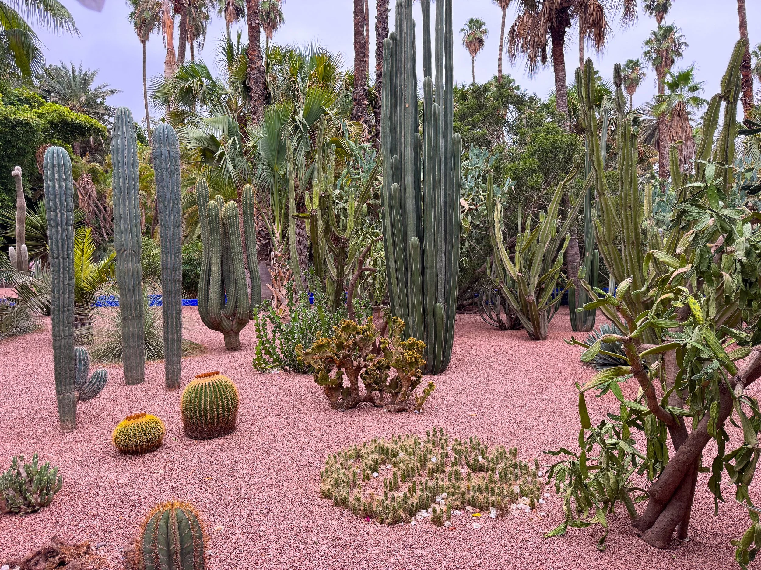 Le_Jardin_Majorelle_04.jpg