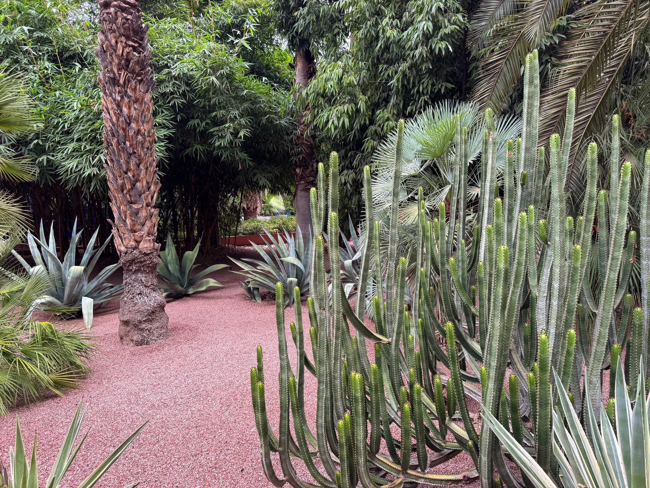 Le_Jardin_Majorelle_05.jpg