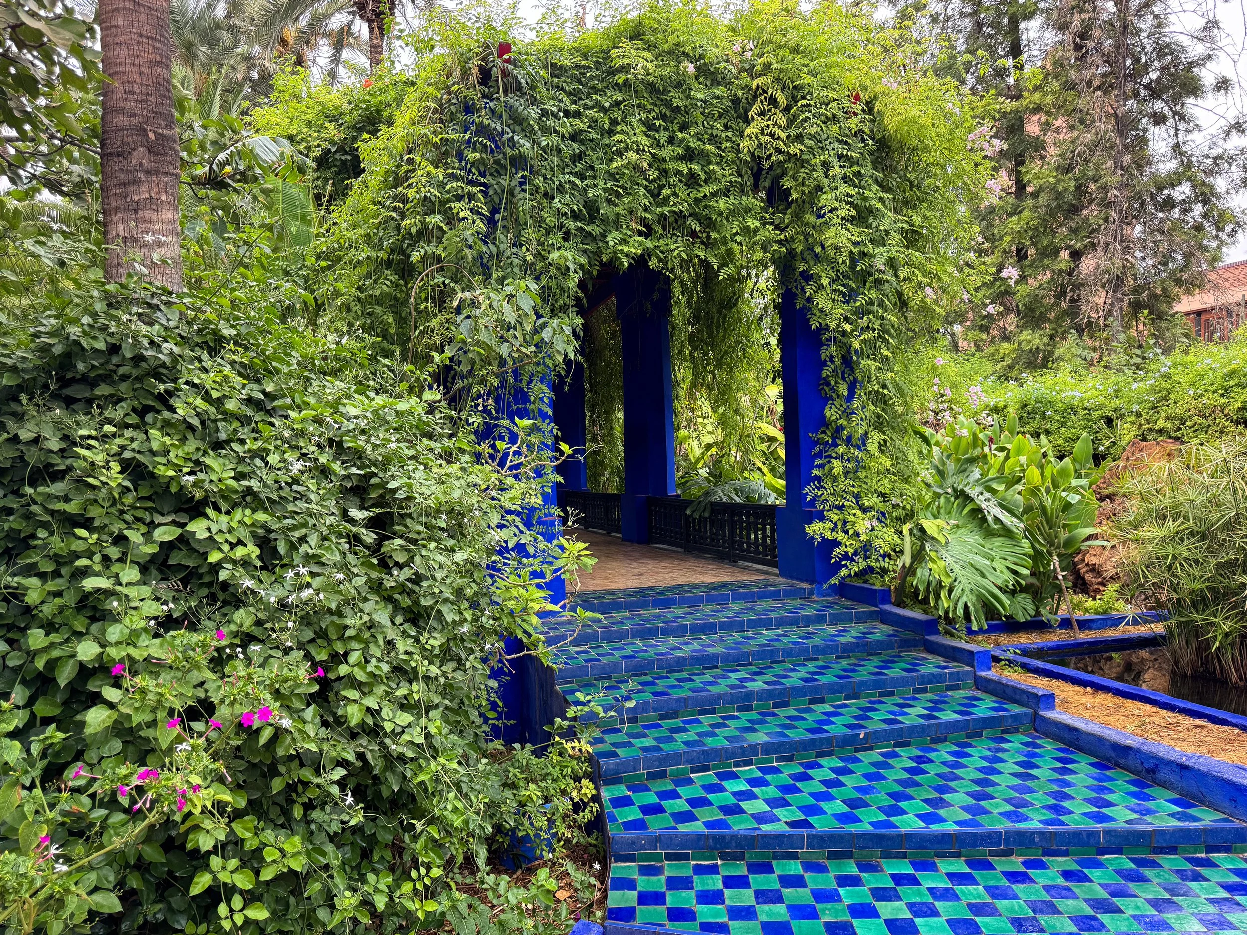 Le_Jardin_Majorelle_06.jpg