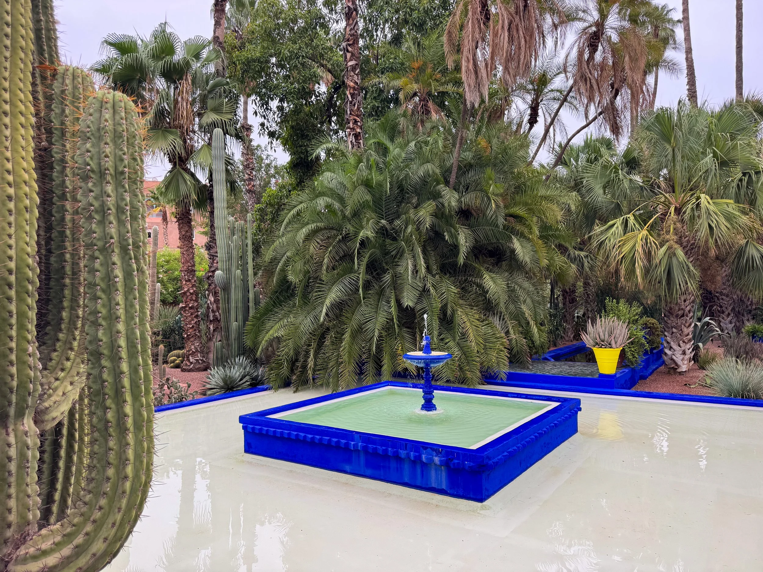 Le_Jardin_Majorelle_07.jpg