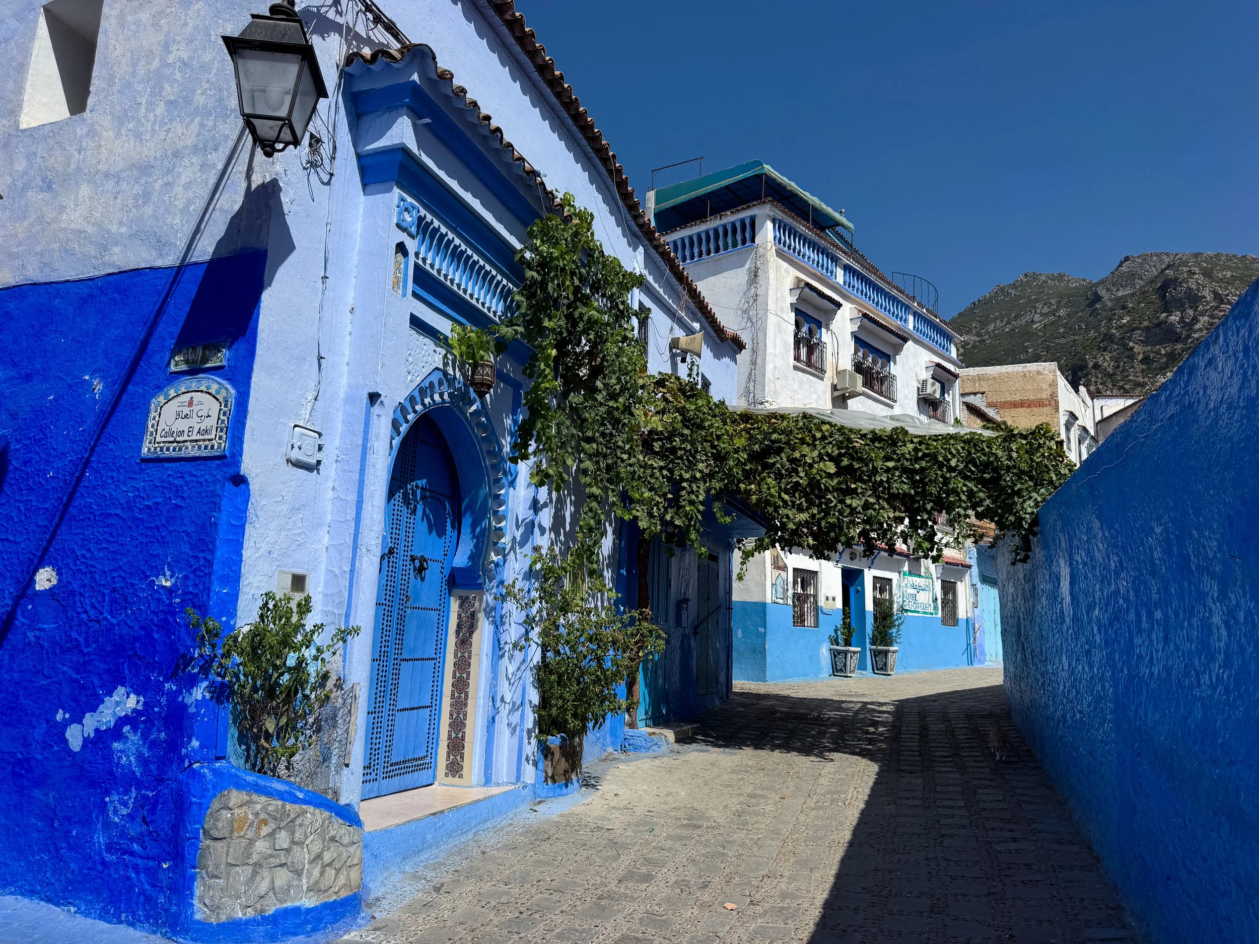 Chefchaouen_The_Blue_City_02.jpg
