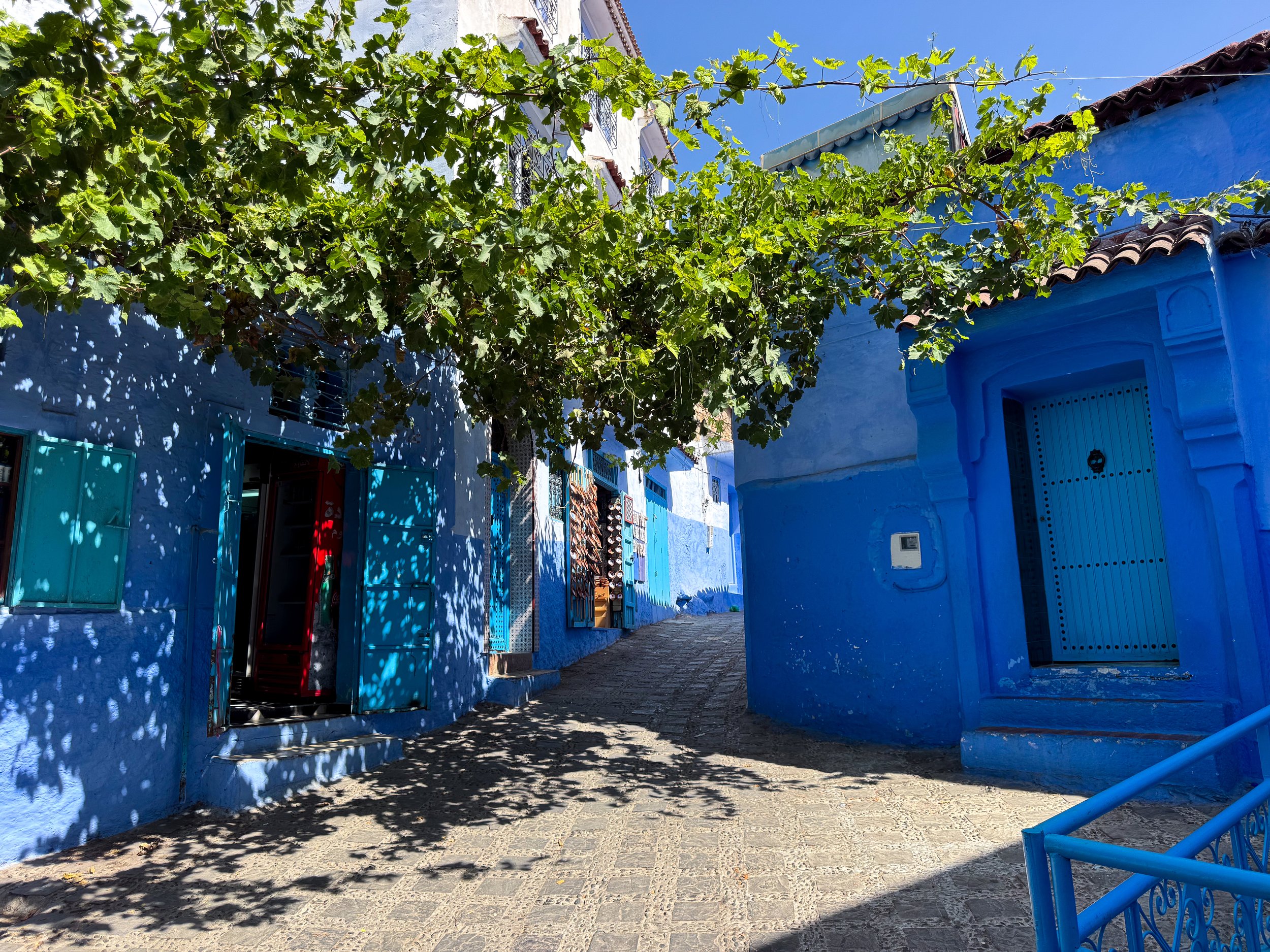 Chefchaouen_The_Blue_City_03.jpg