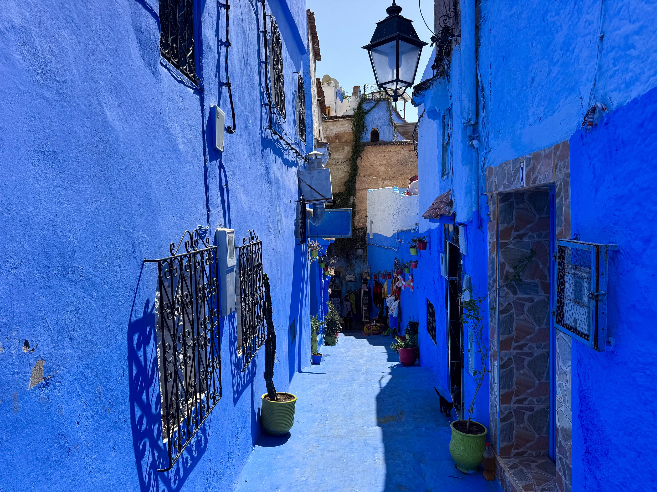 Chefchaouen_The_Blue_City_10.jpg