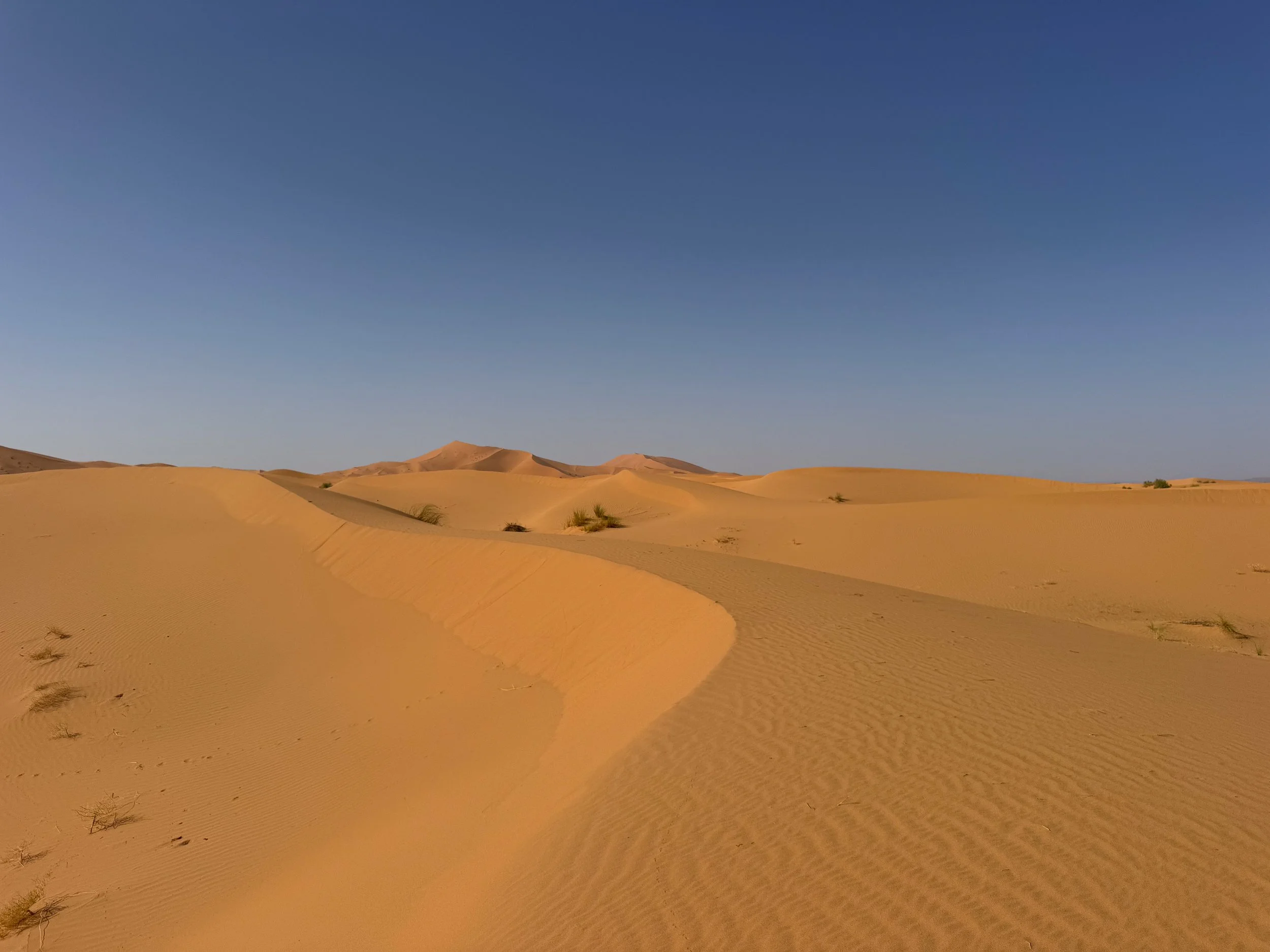 Merzouga_Desert_01.jpg