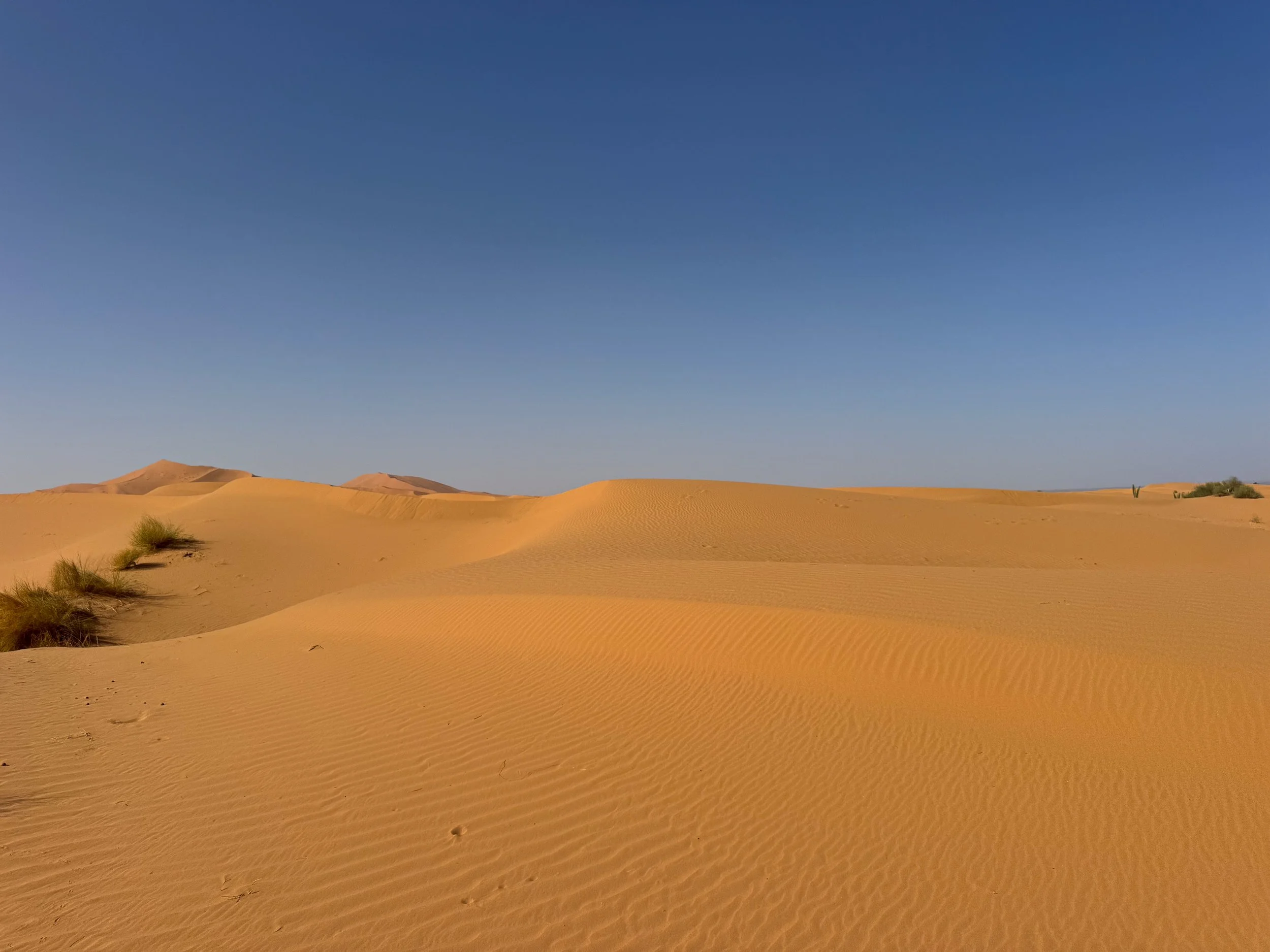 Merzouga_Desert_02.jpg