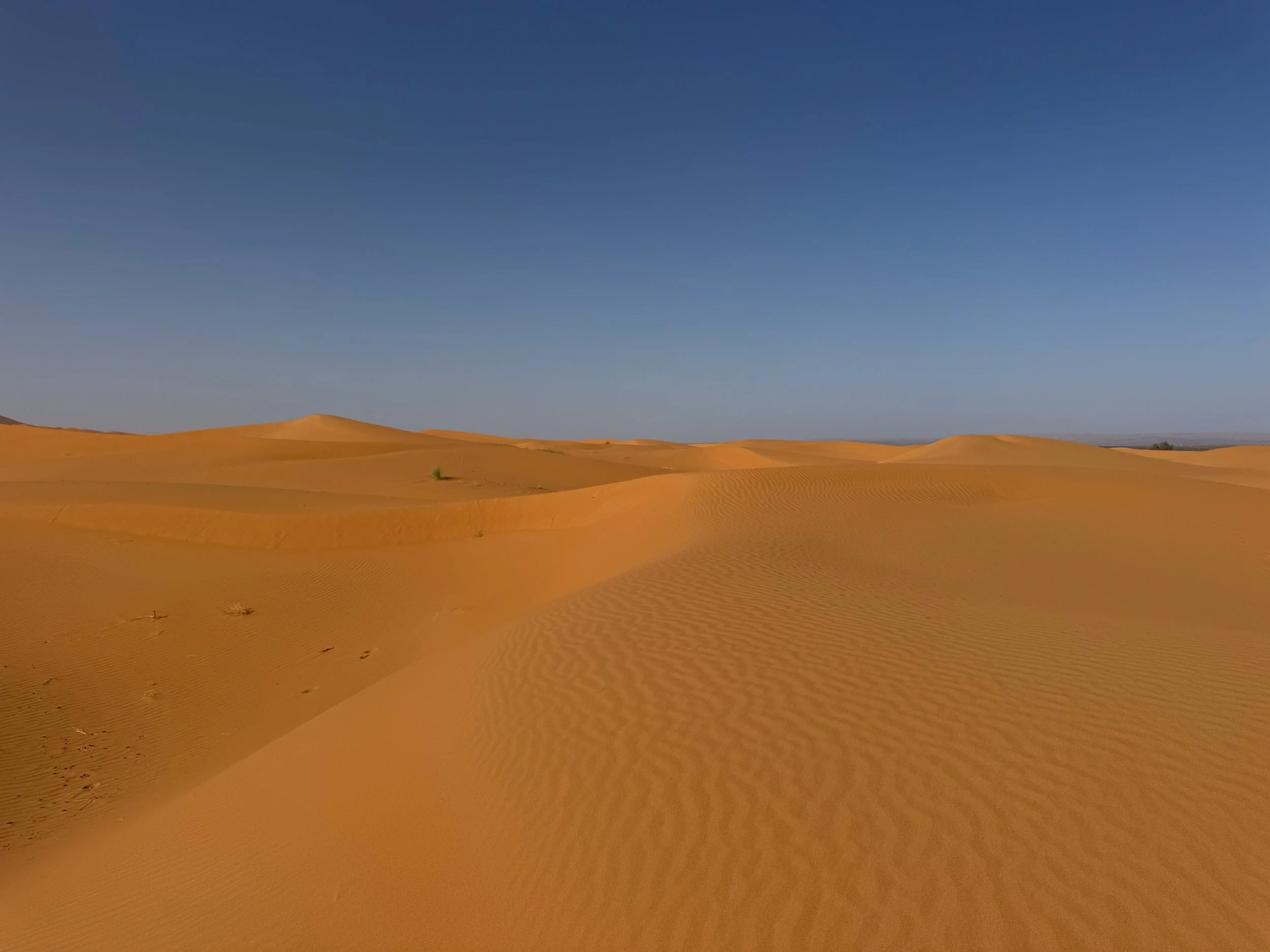 Merzouga_Desert_04.jpg