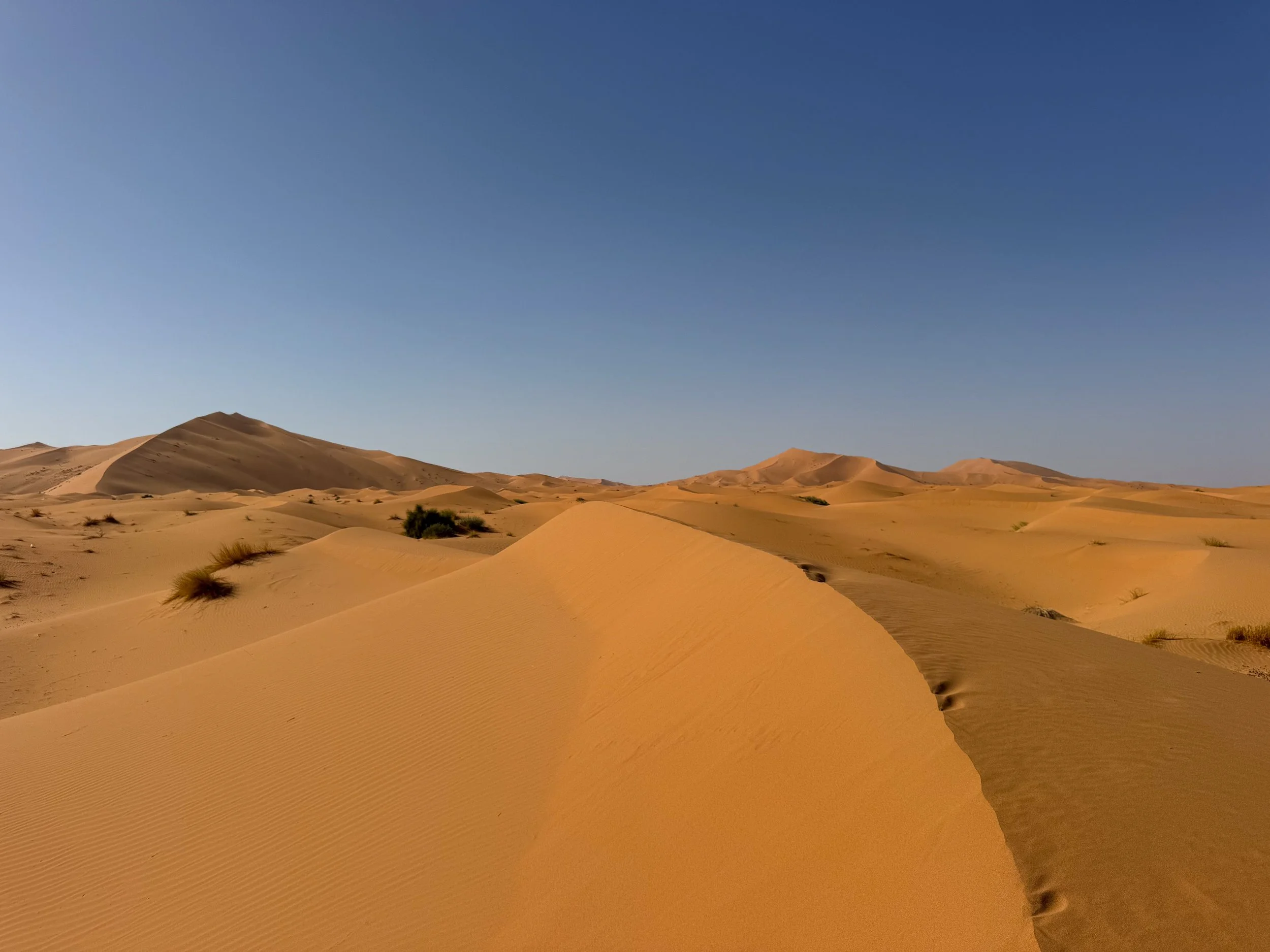 Merzouga_Desert_07.jpg