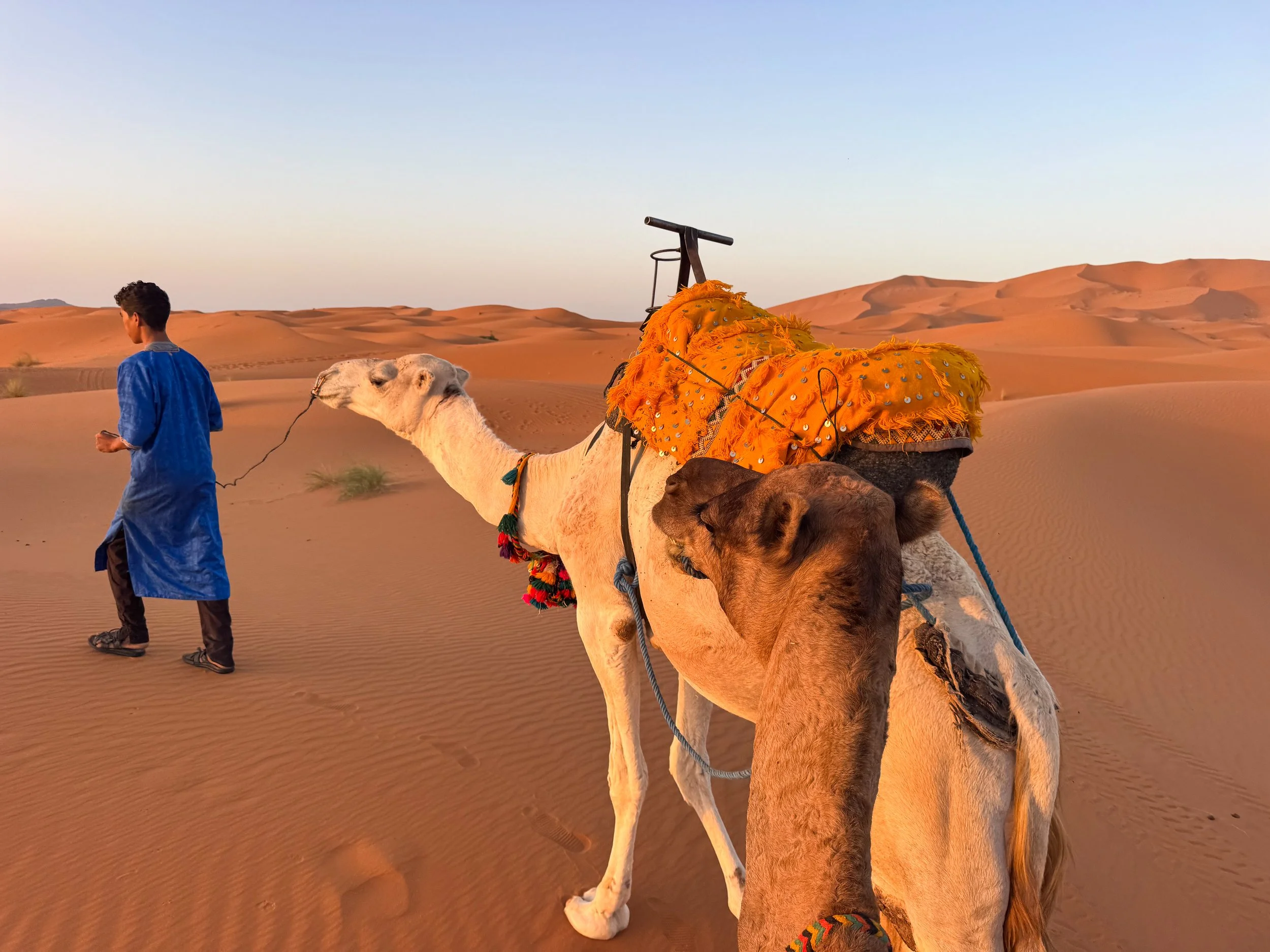 Merzouga_Desert_Camel_Trekking_02.jpg