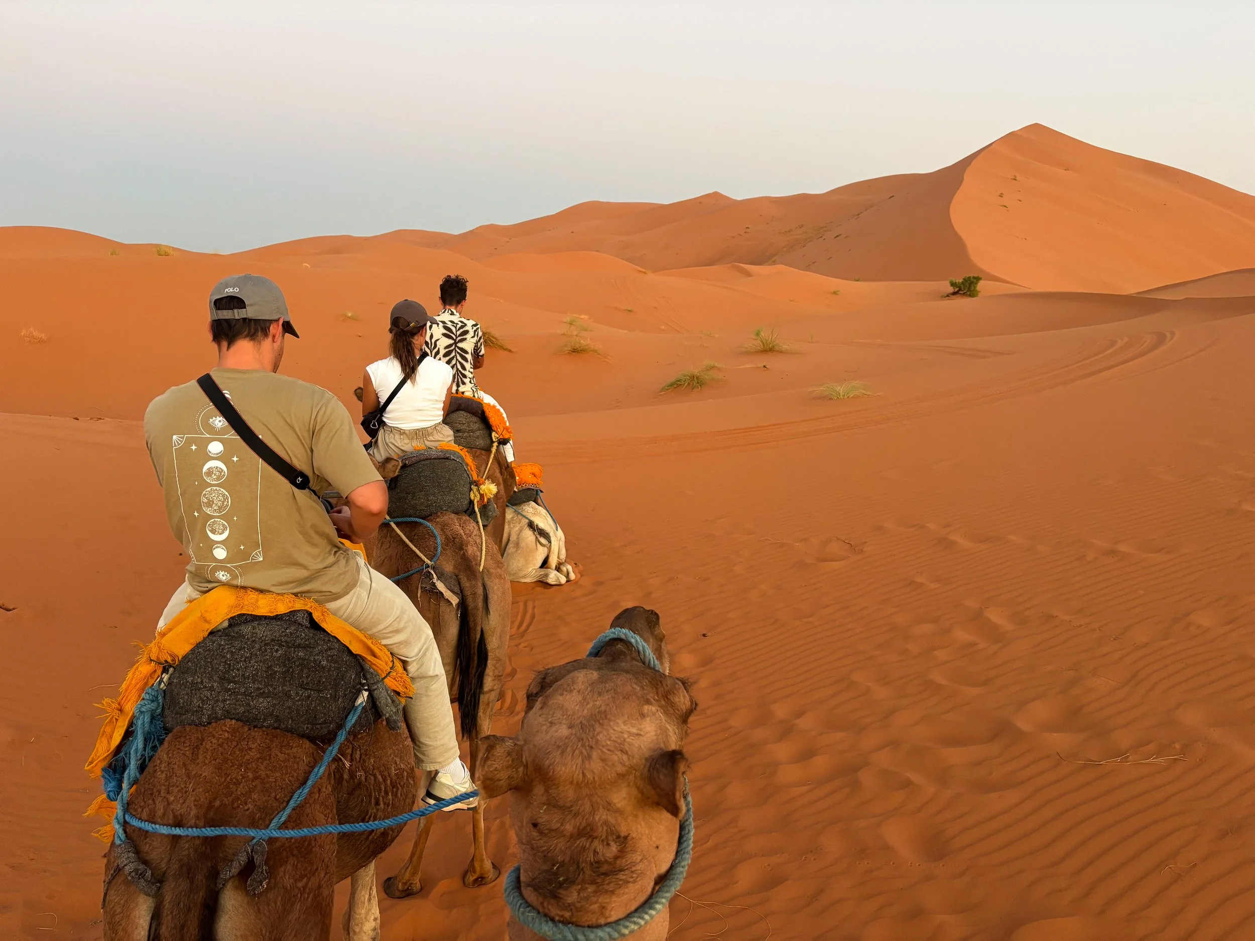Merzouga_Desert_Camel_Trekking_05.jpg