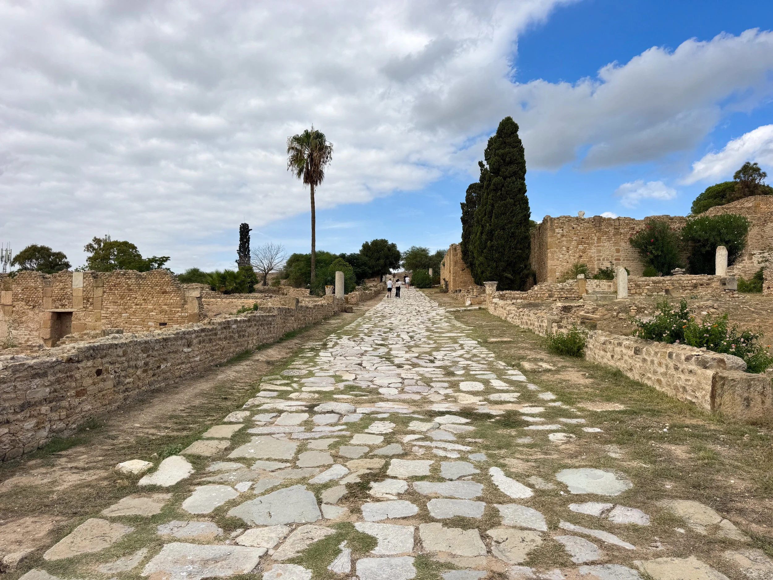Carthage_Roman_Villas_District_04.jpg