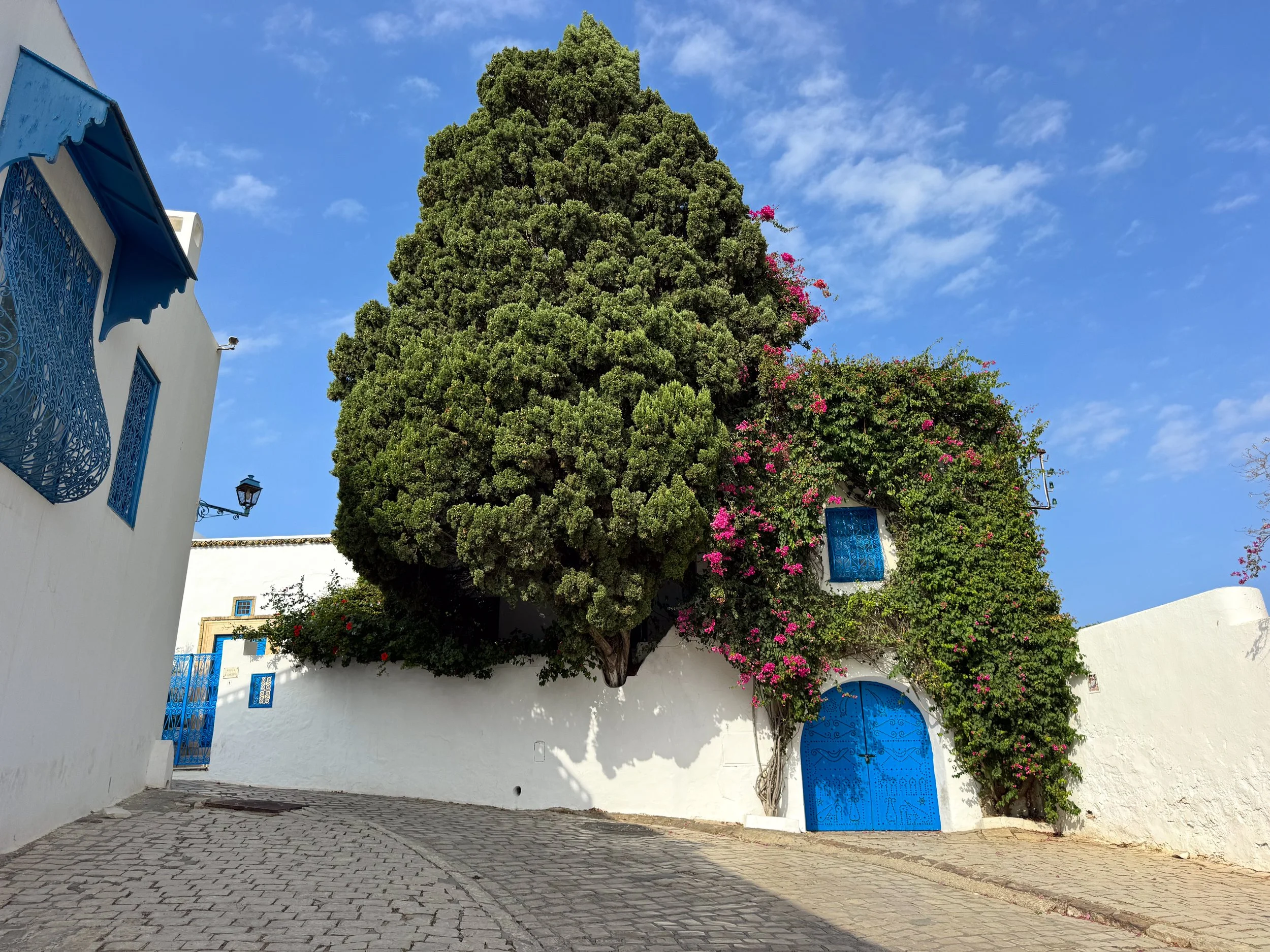 Sidi_Bou_Said_01.jpg