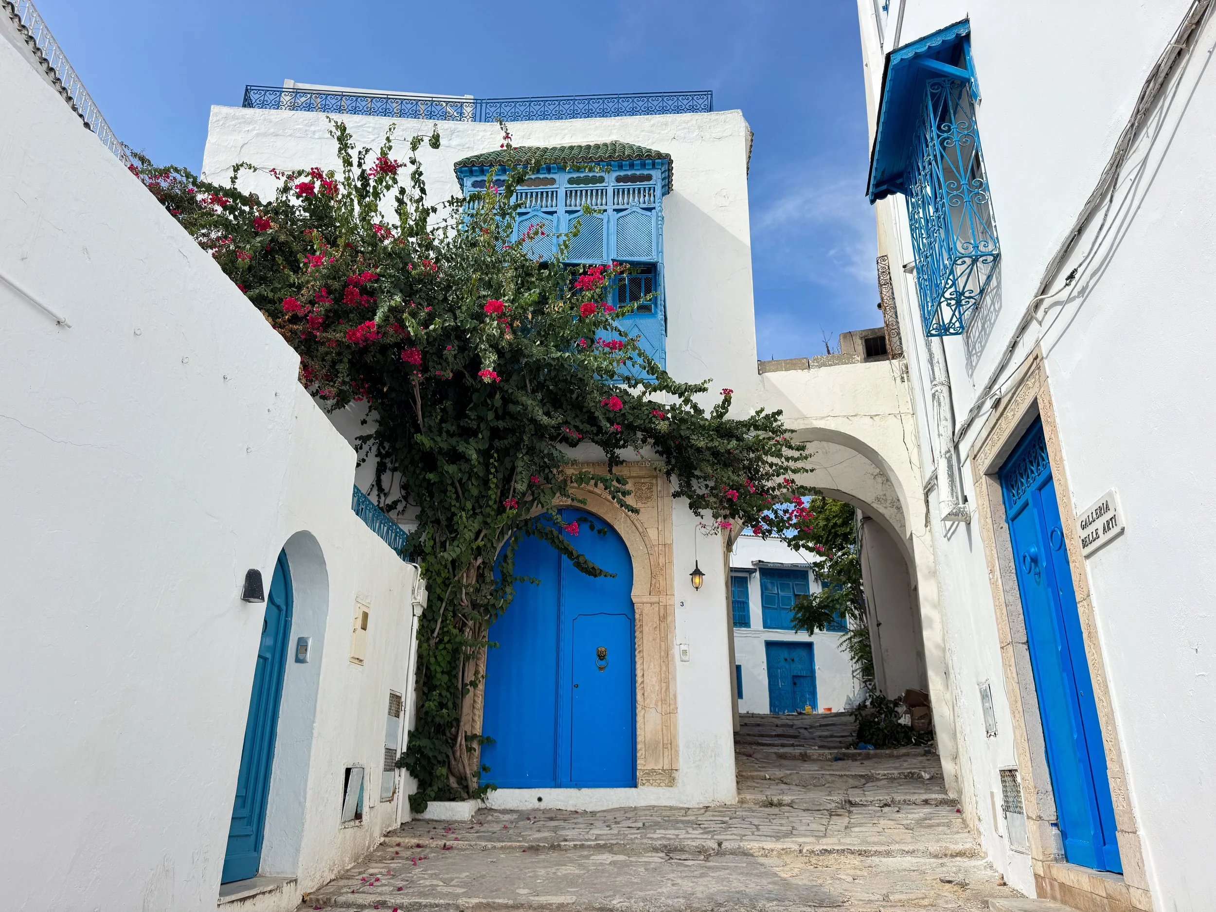 Sidi_Bou_Said_03.jpg