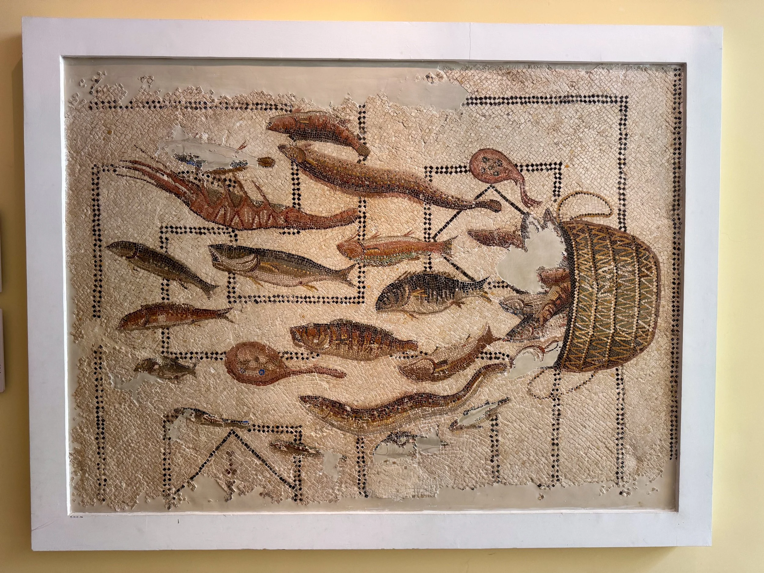 Sousse_Archeological_Museum_03.jpg
