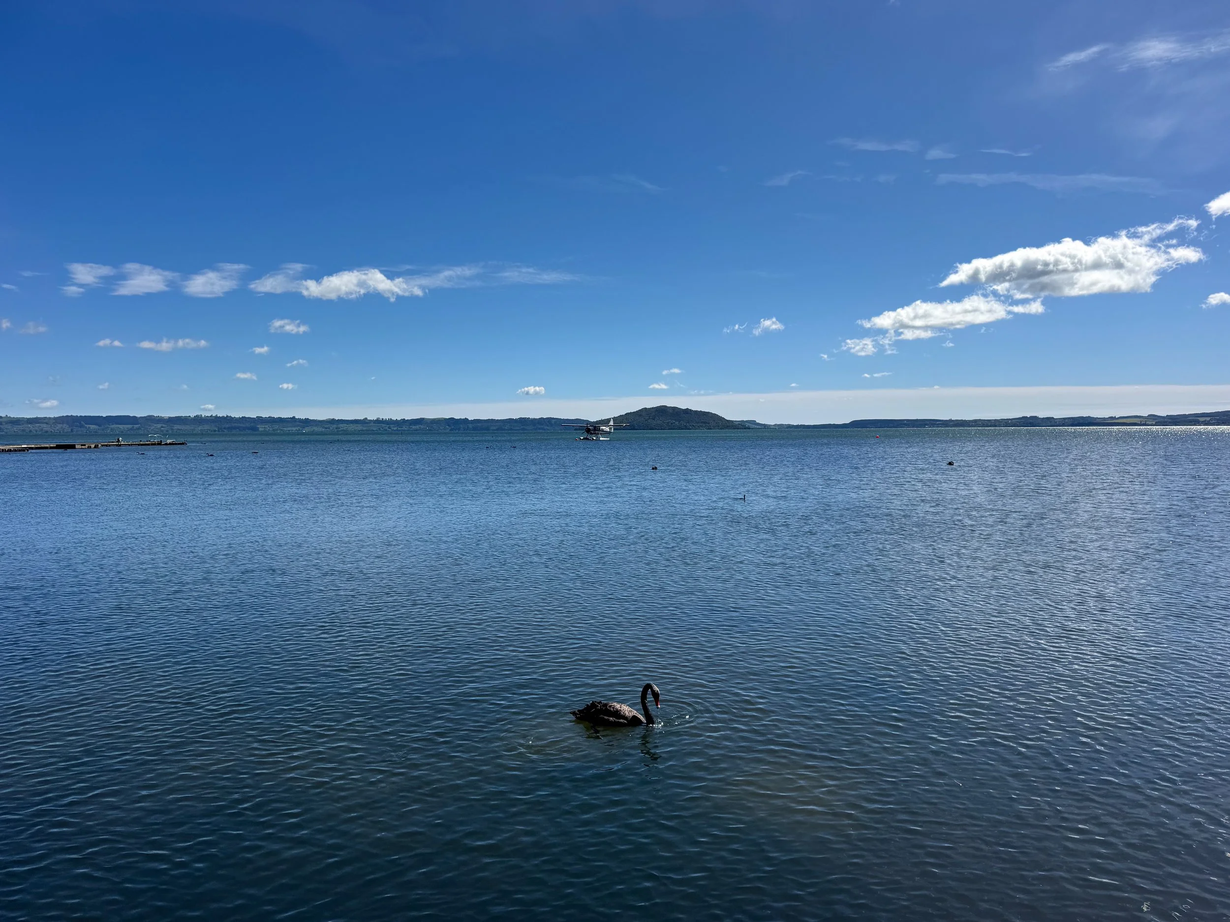 Lake_Rotorua_03.jpg