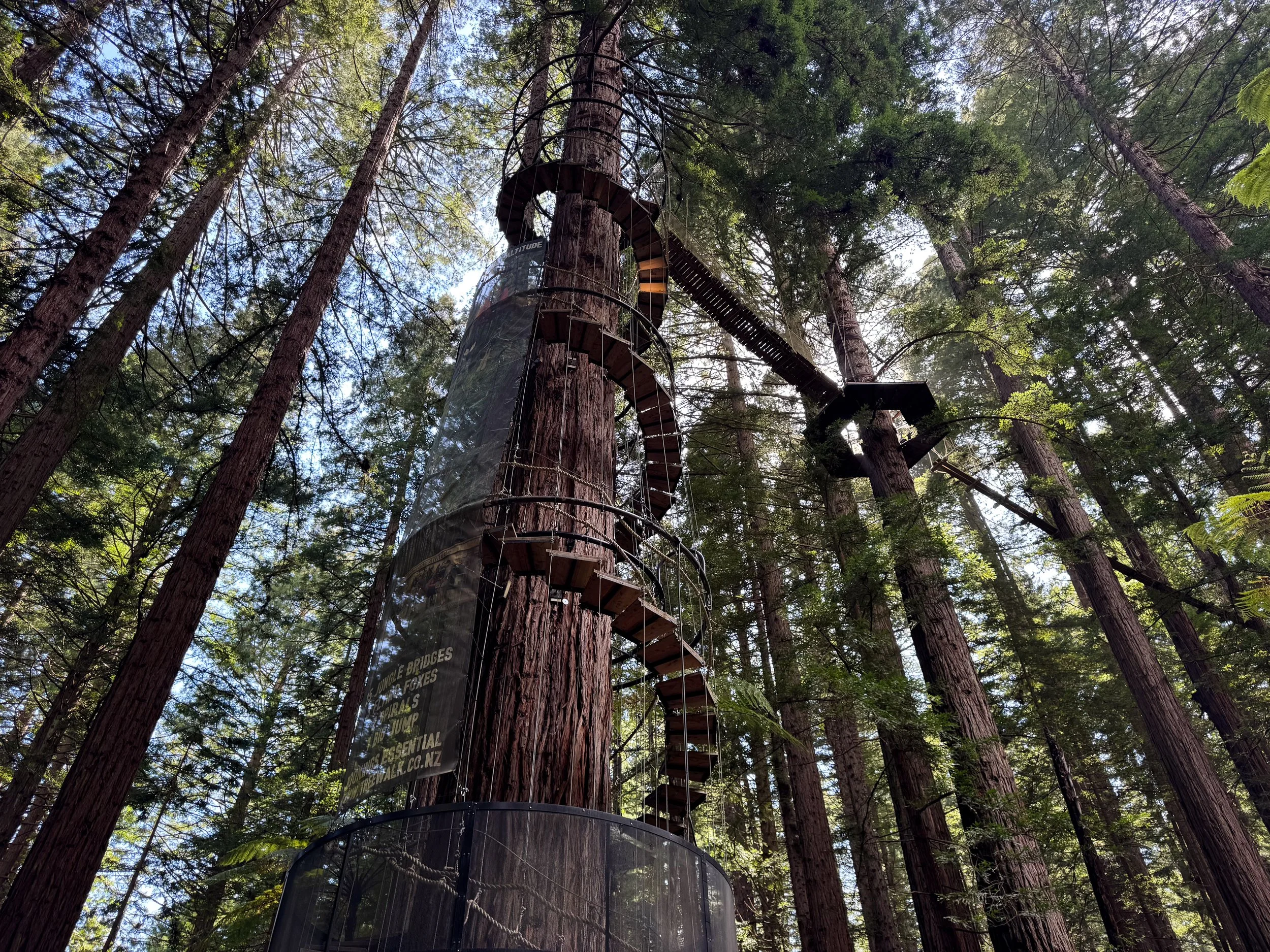 Redwoods_Altitude_03.jpg