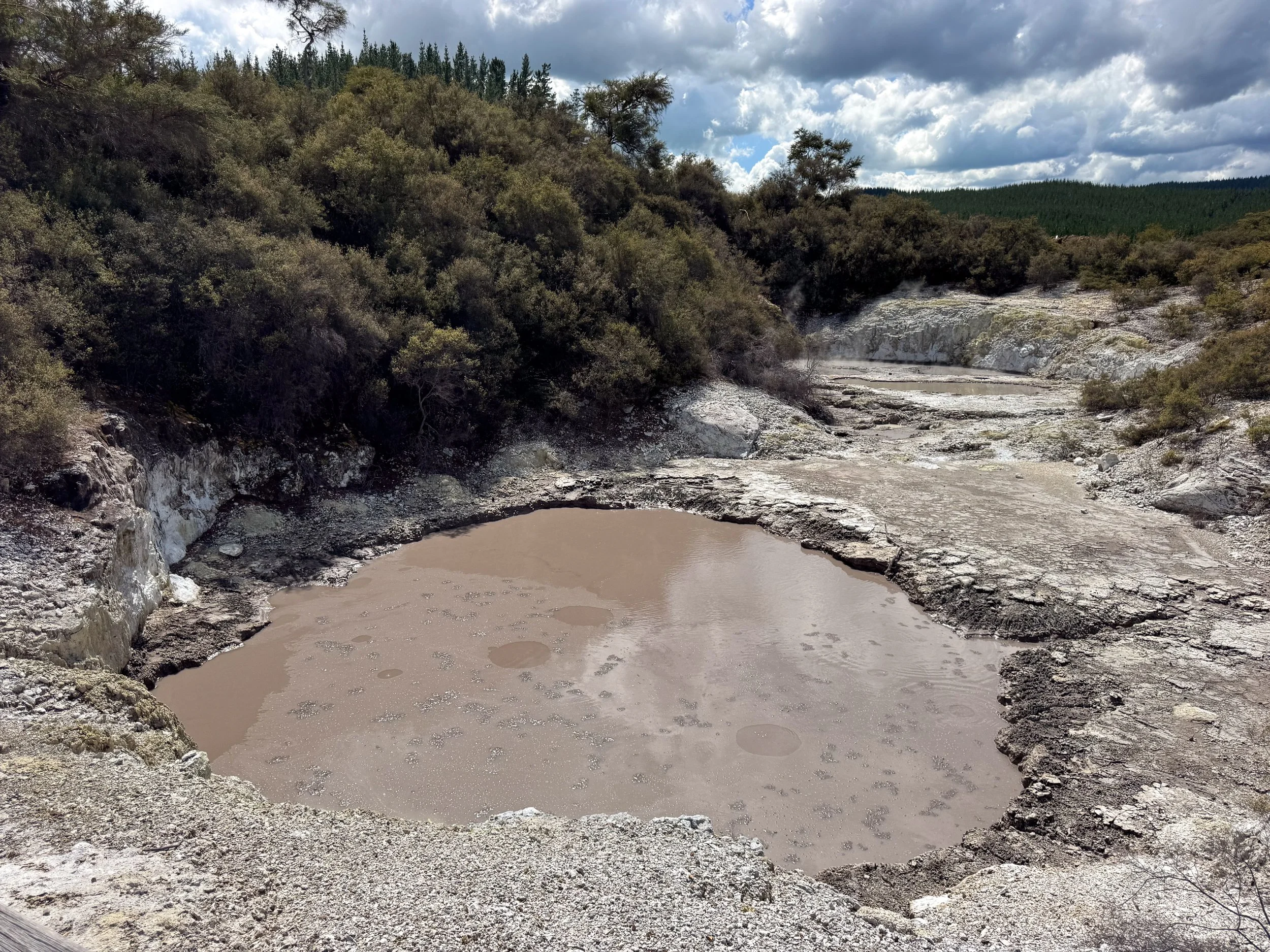 Waiotapu_Thermal_Wonderland_11.jpg