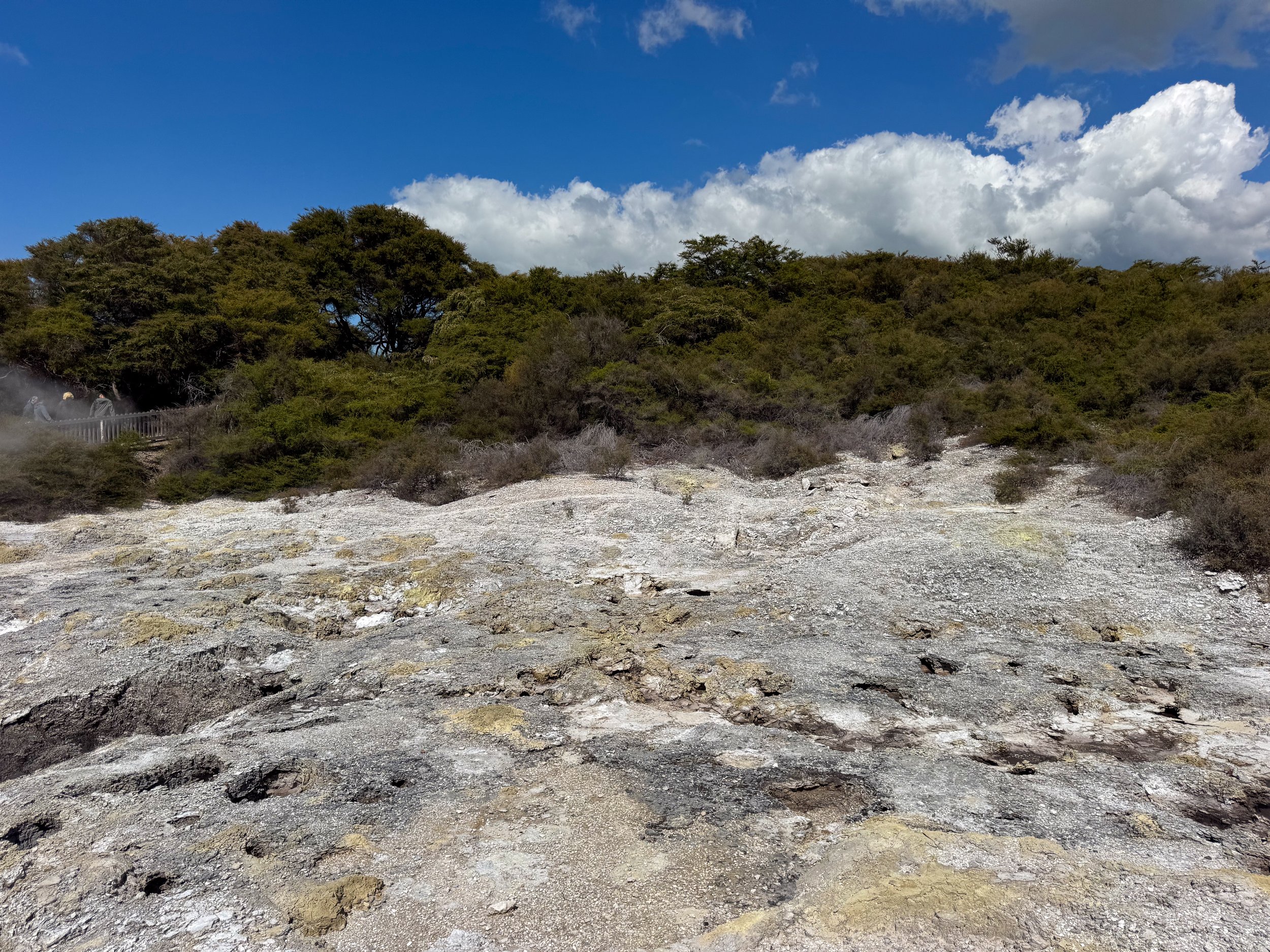 Waiotapu_Thermal_Wonderland_15.jpg
