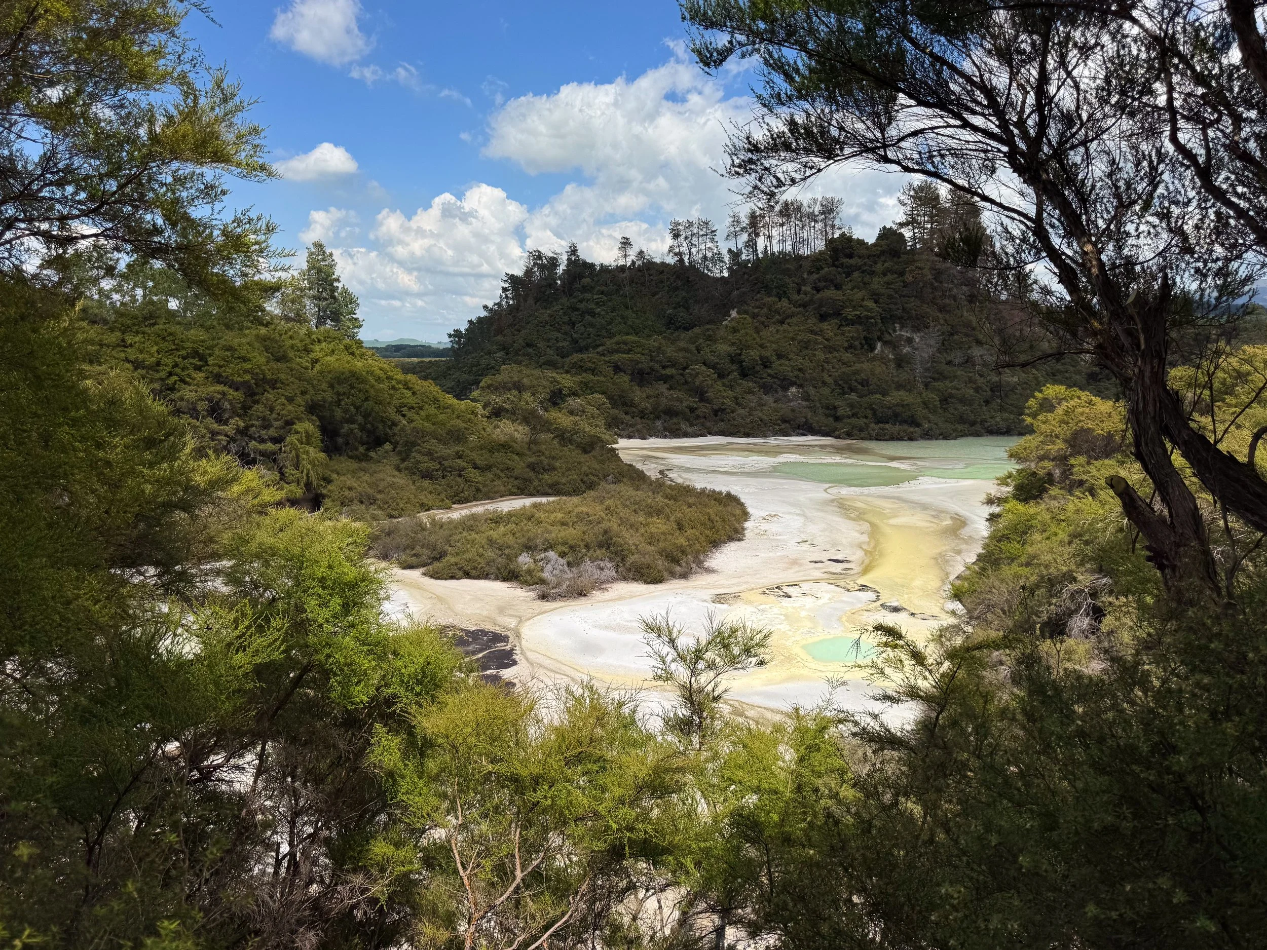 Waiotapu_Thermal_Wonderland_17.jpg